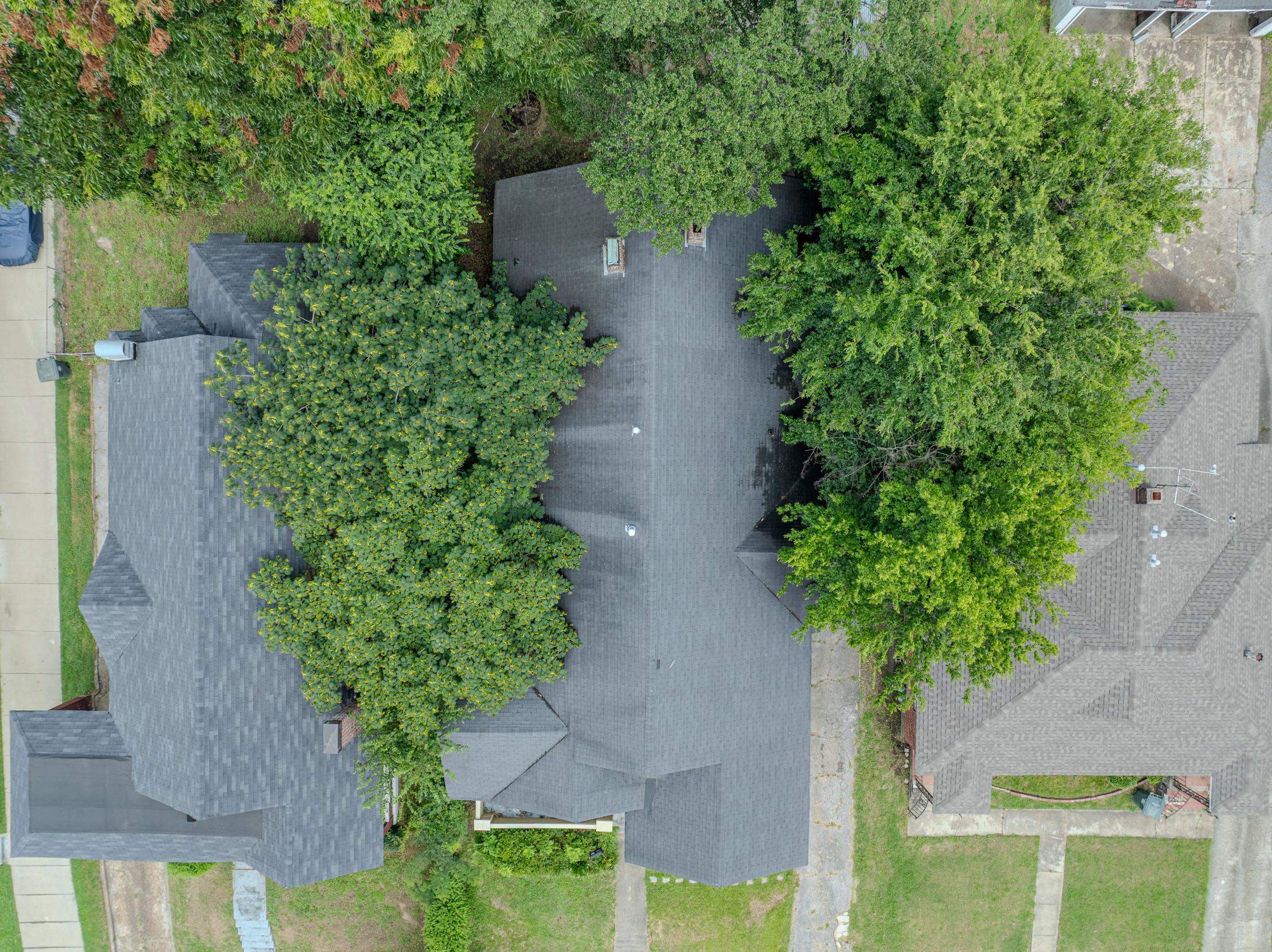 830 Maury St Property Photo 37