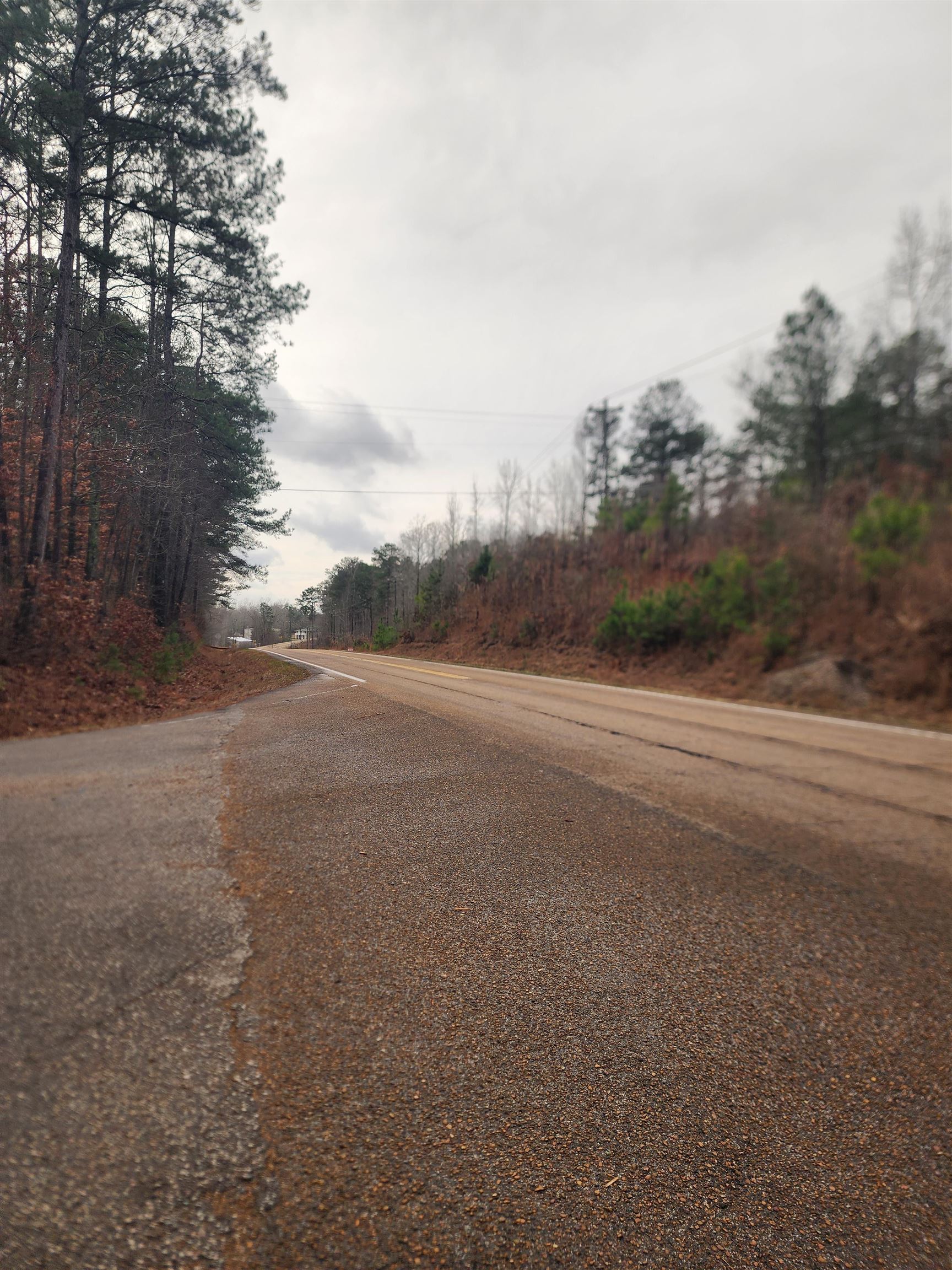 0 Hwy57/riverdale Rd Hwy Property Photo 4