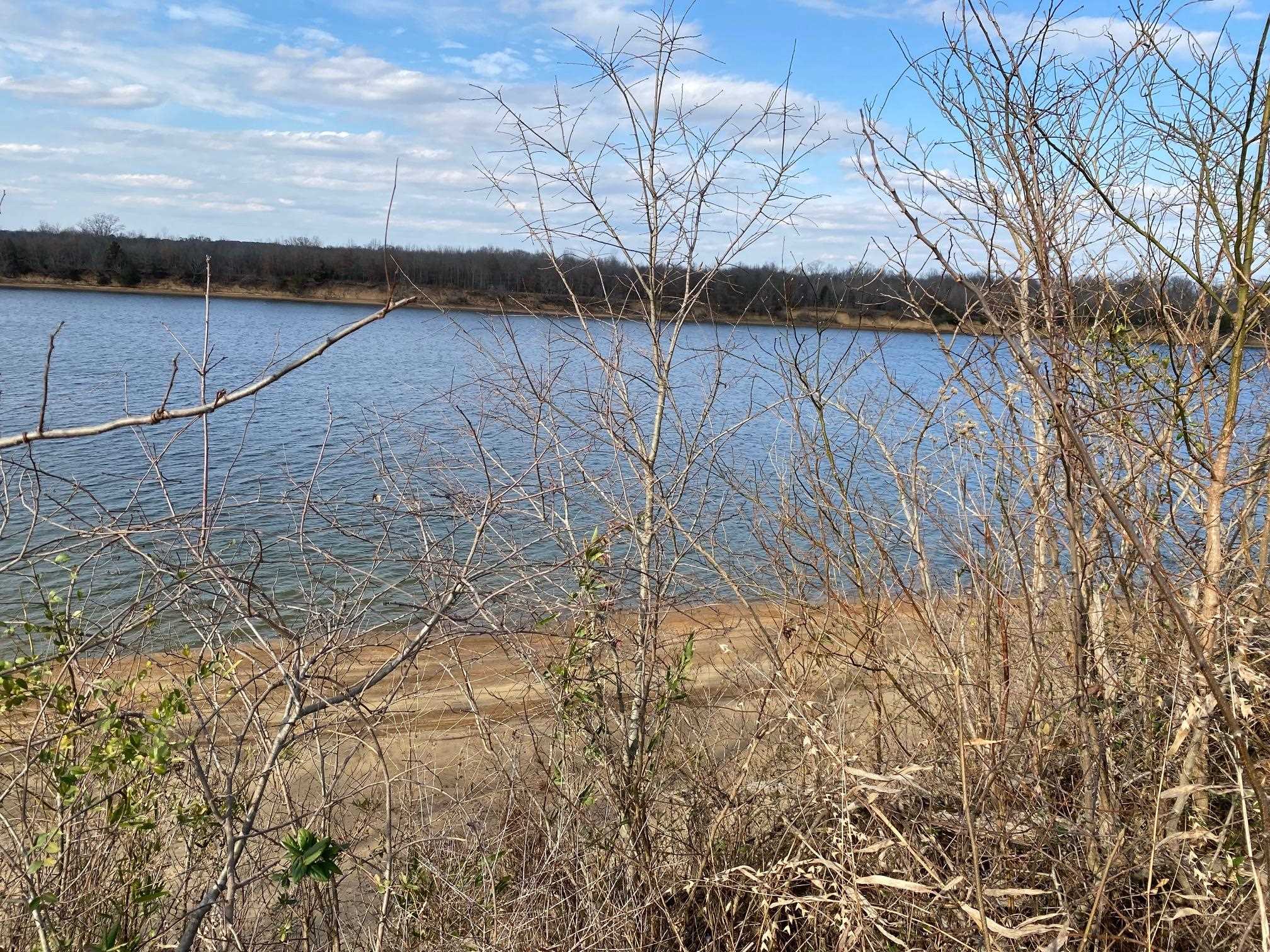 Lot 44 Cravens Rd Property Photo 2