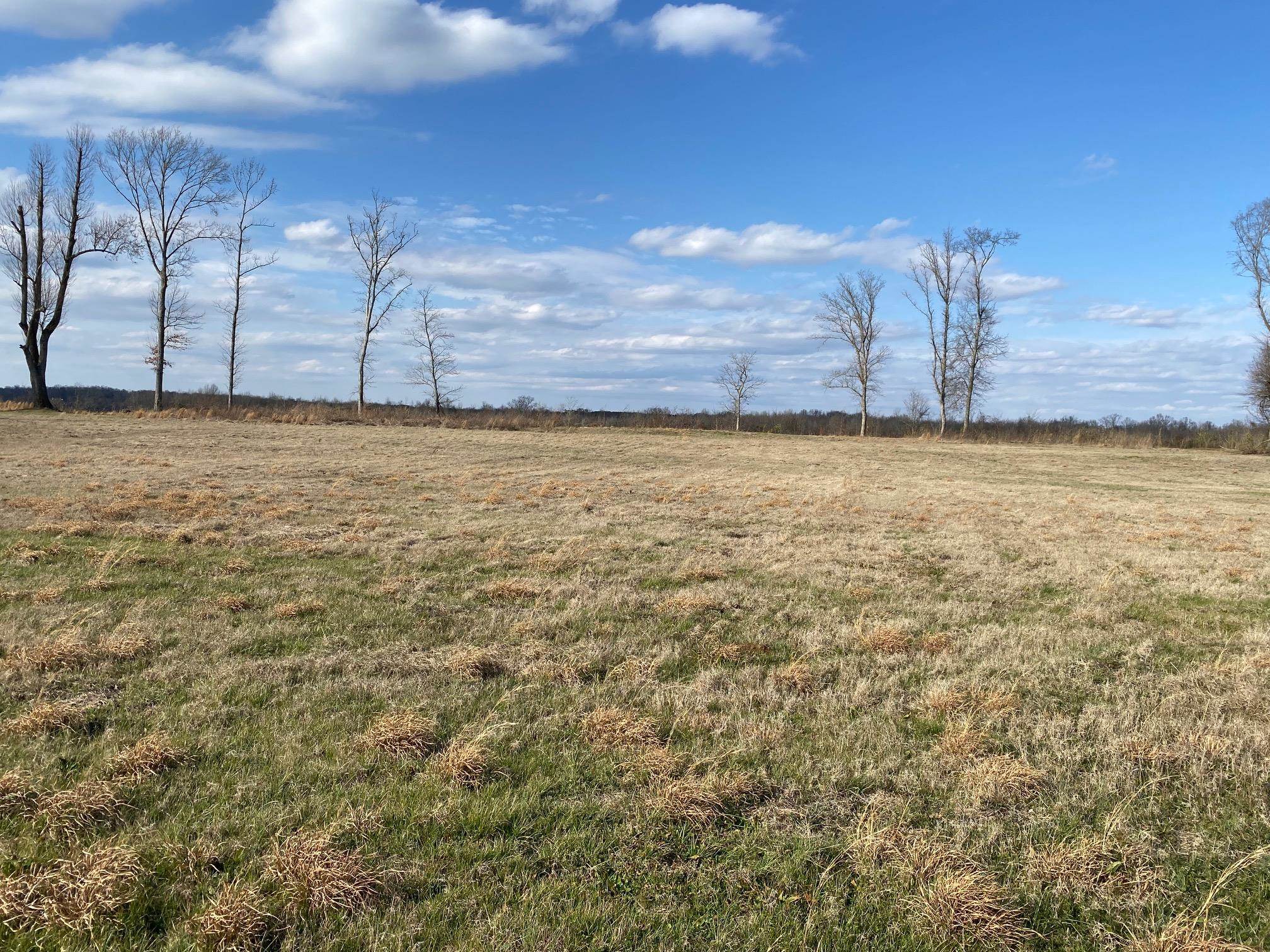 Lot 44 Cravens Rd Property Photo 4