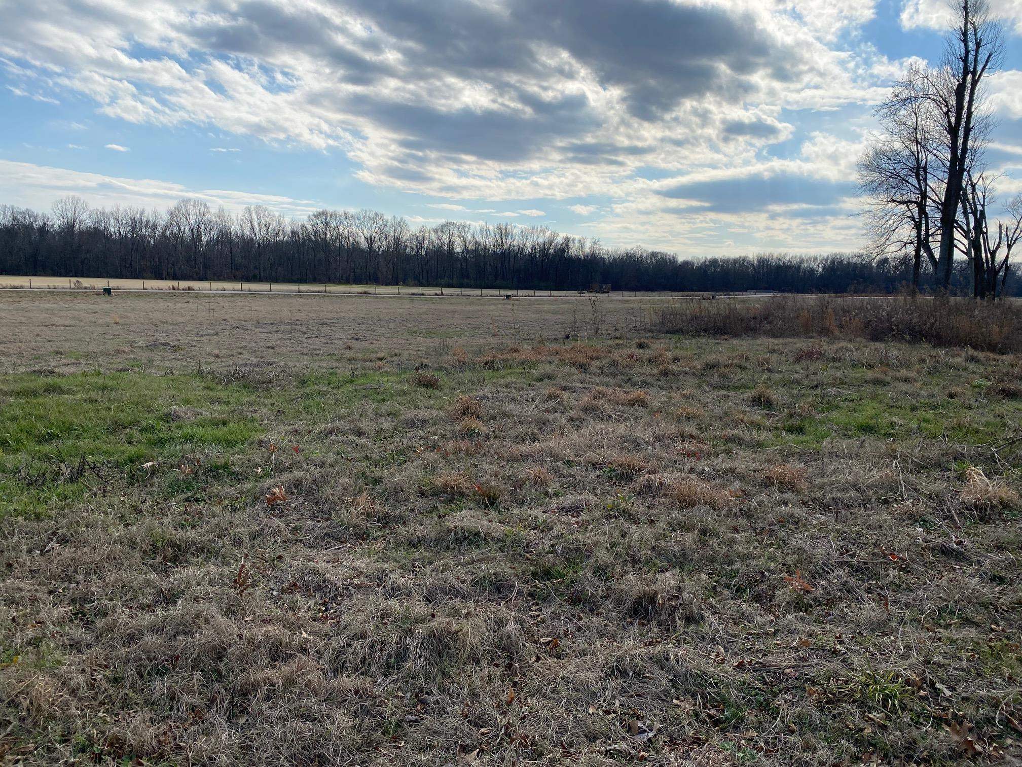 Lot 44 Cravens Rd Property Photo 10
