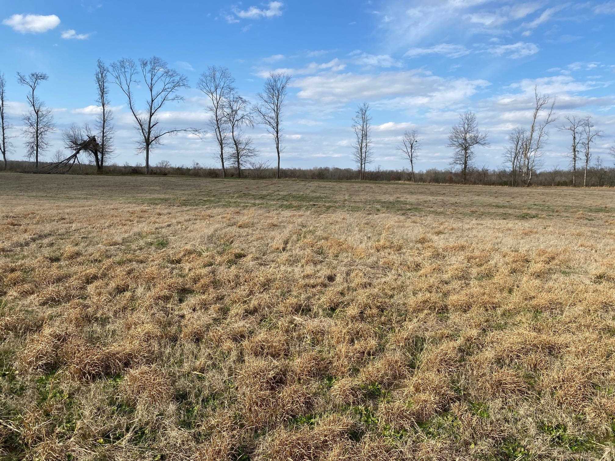Lot 47 Cravens Rd Property Photo 3