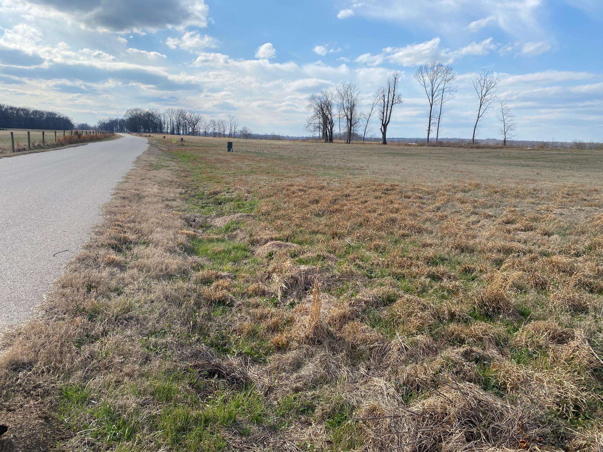Lot 47 Cravens Rd Property Photo 6