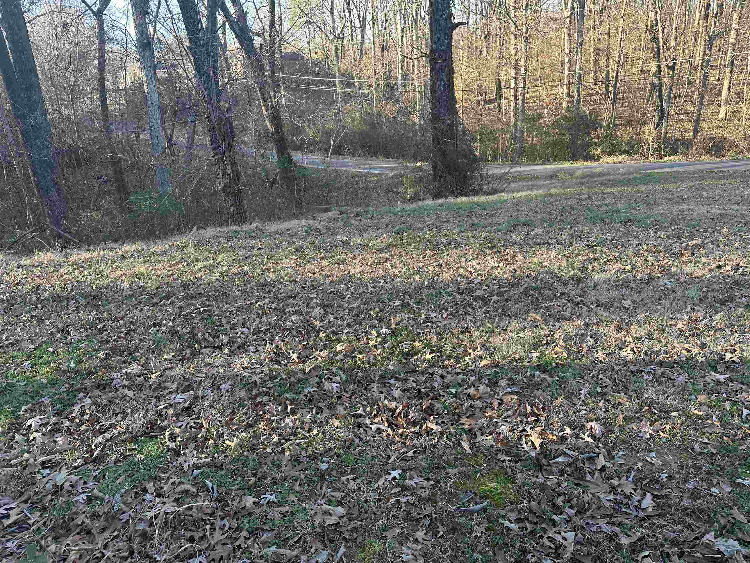 3485 Felton Rd Property Photo 8