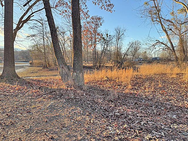 Harry Terry Dr Property Photo 8