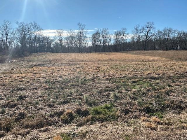 136 River Run Estates/cravens Rd Property Photo 2