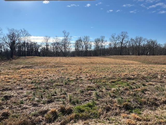136 River Run Estates/cravens Rd Property Photo 4
