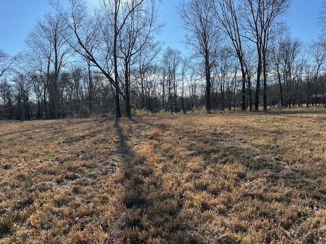 136 River Run Estates/cravens Rd Property Photo 5