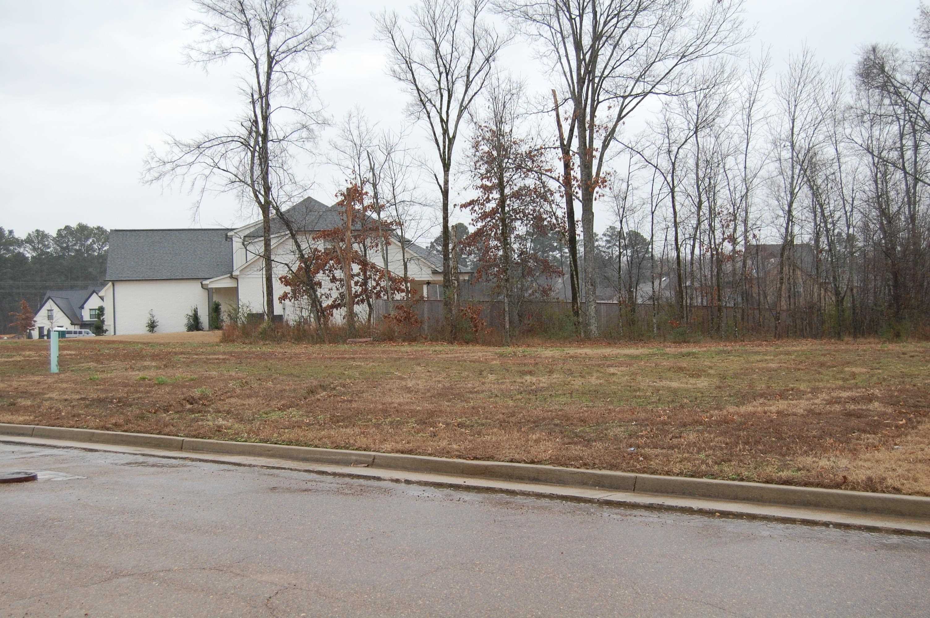 10250 Wading Heron Ln Property Photo 2