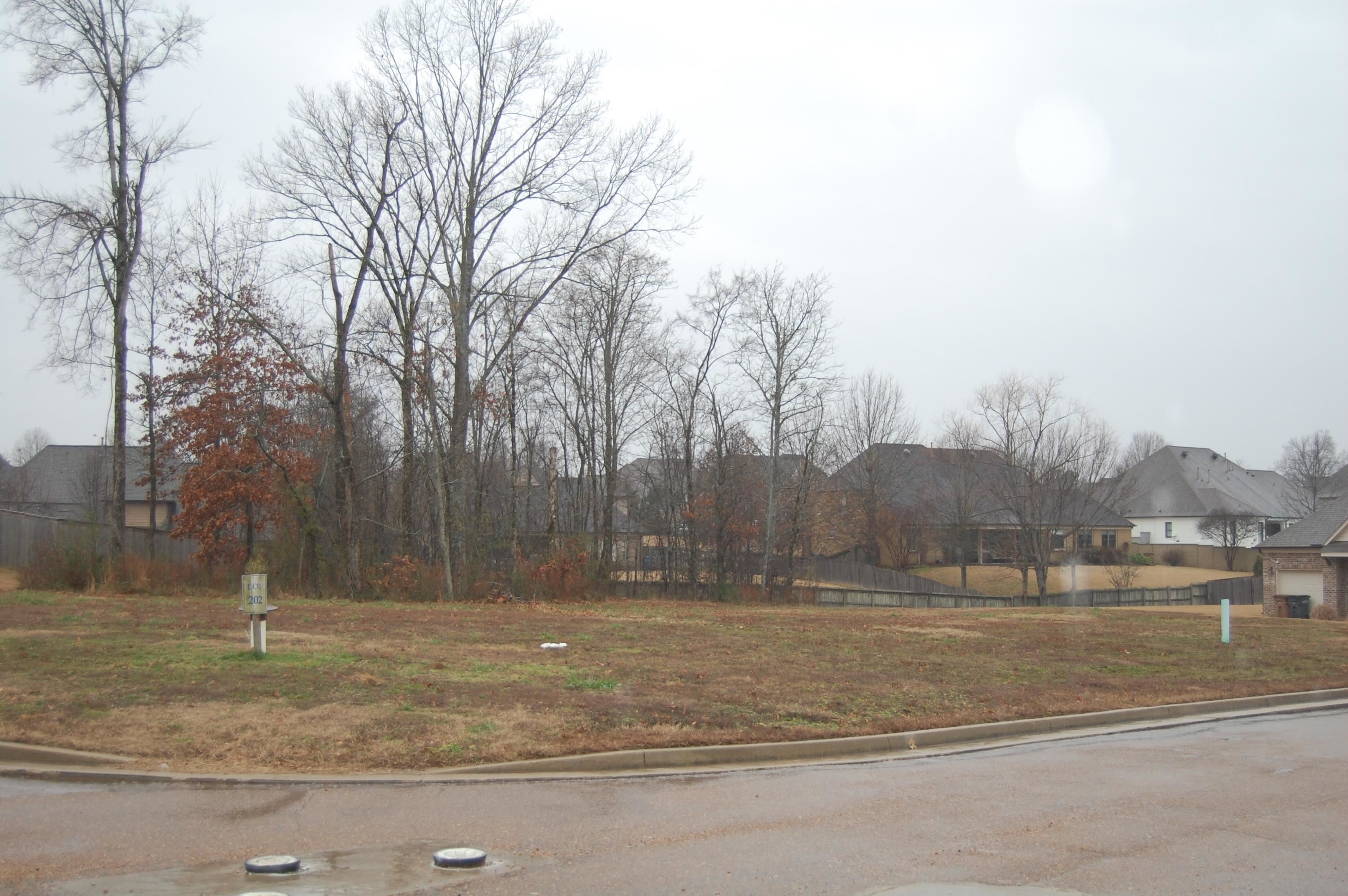 10250 Wading Heron Ln Property Photo 3