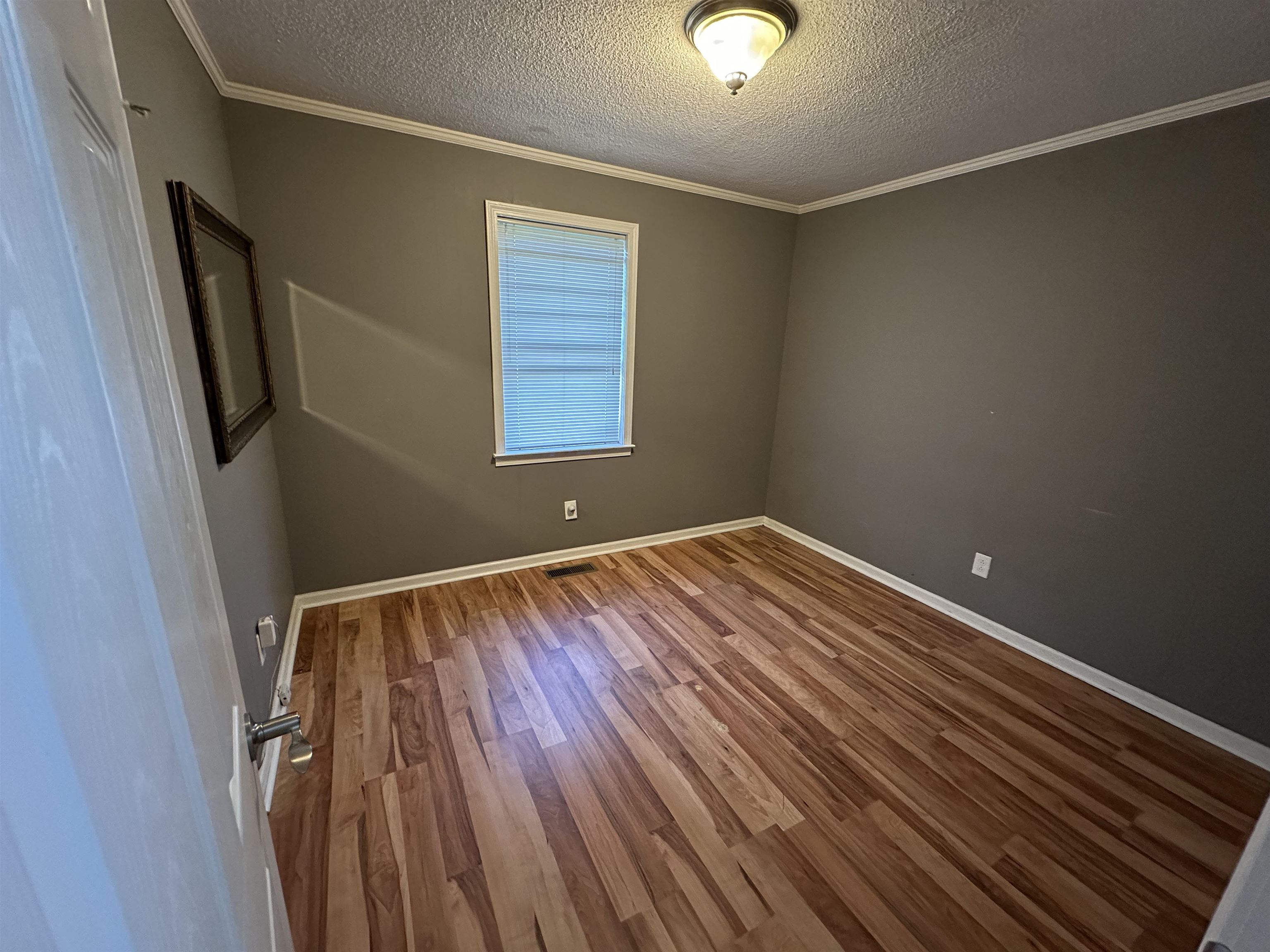 335 Shelly Ave Property Photo 20