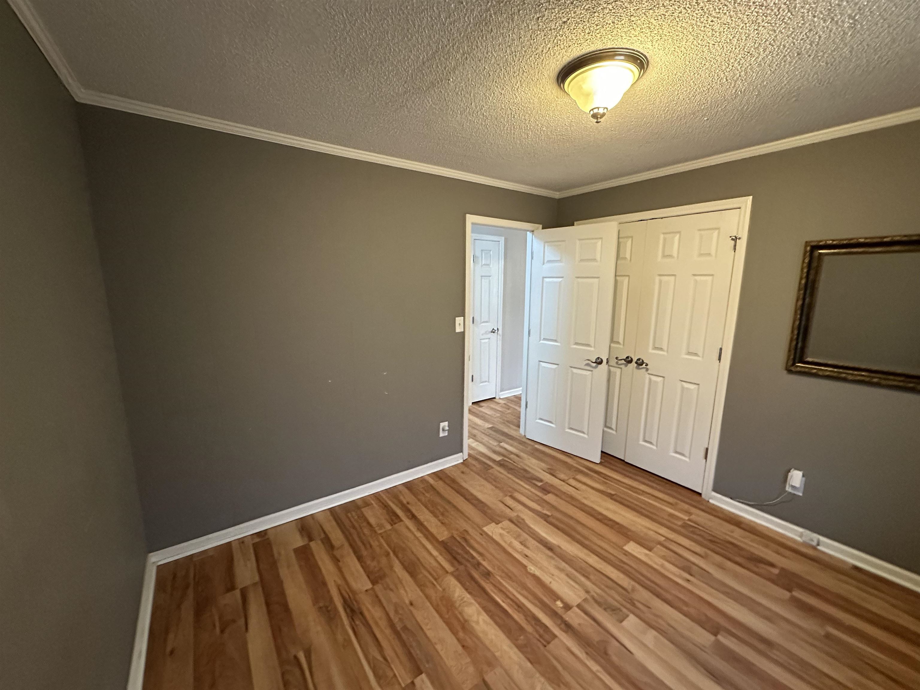 335 Shelly Ave Property Photo 21