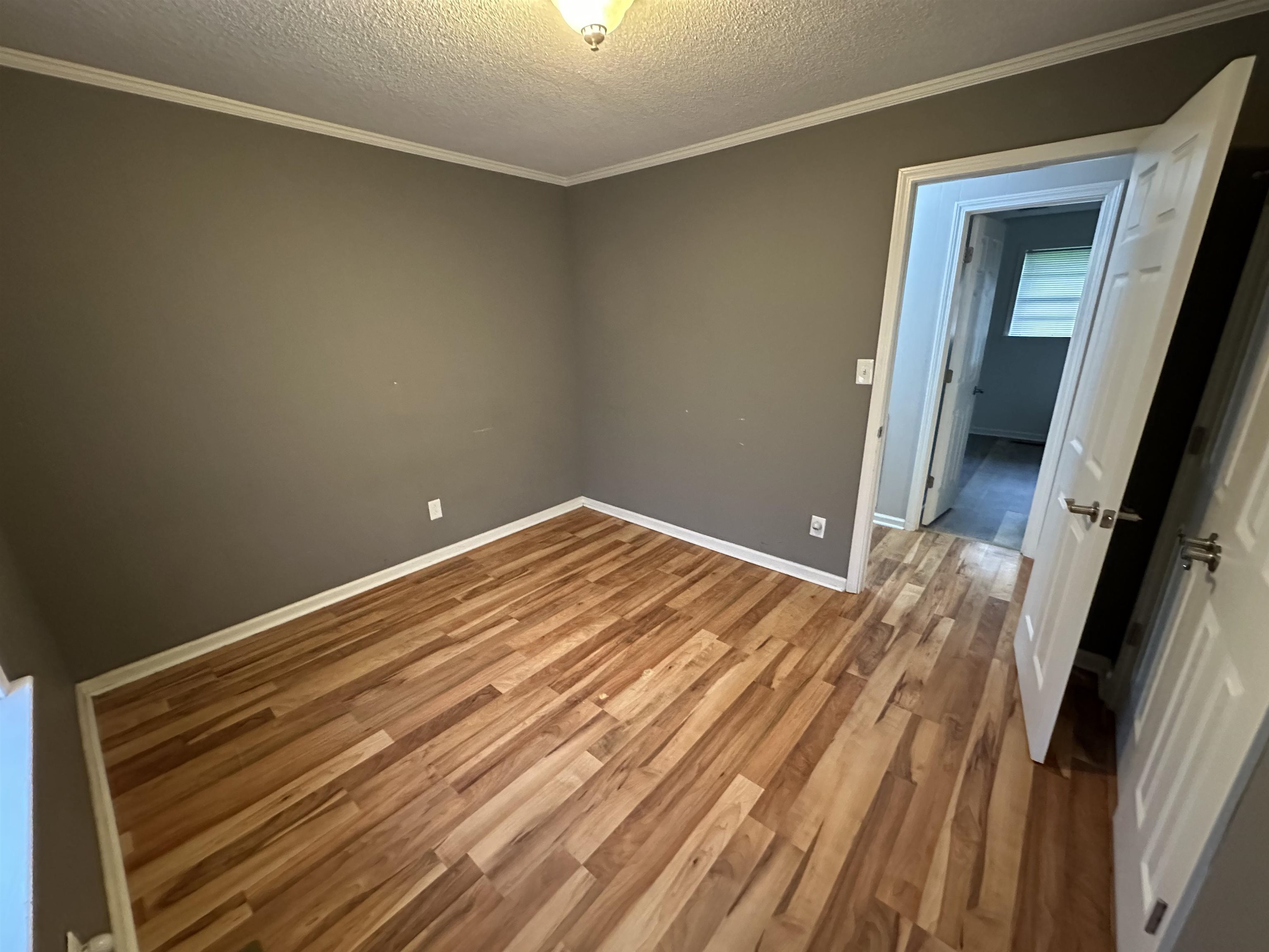 335 Shelly Ave Property Photo 22