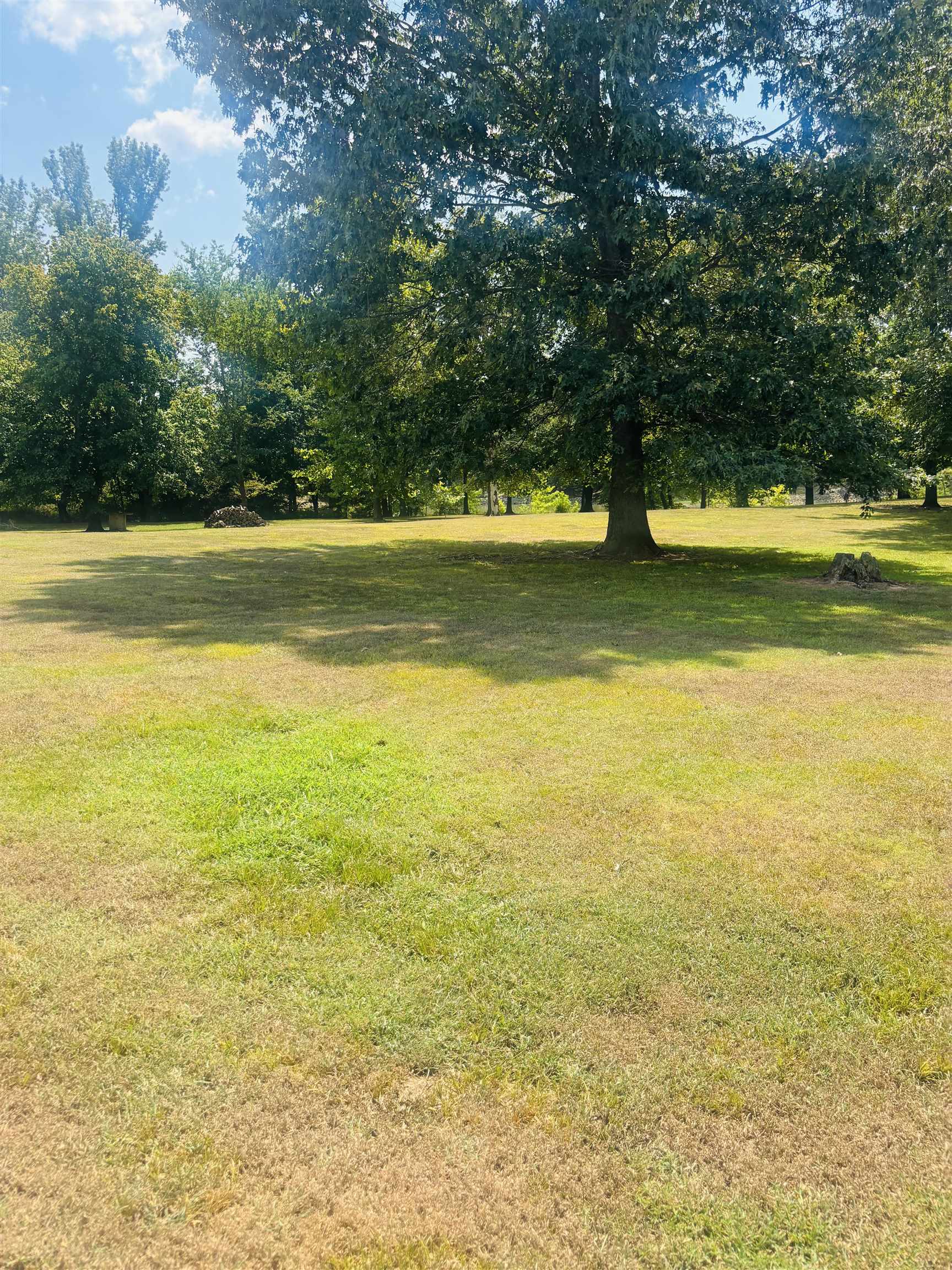 0 Cherokee Ln Property Photo 15
