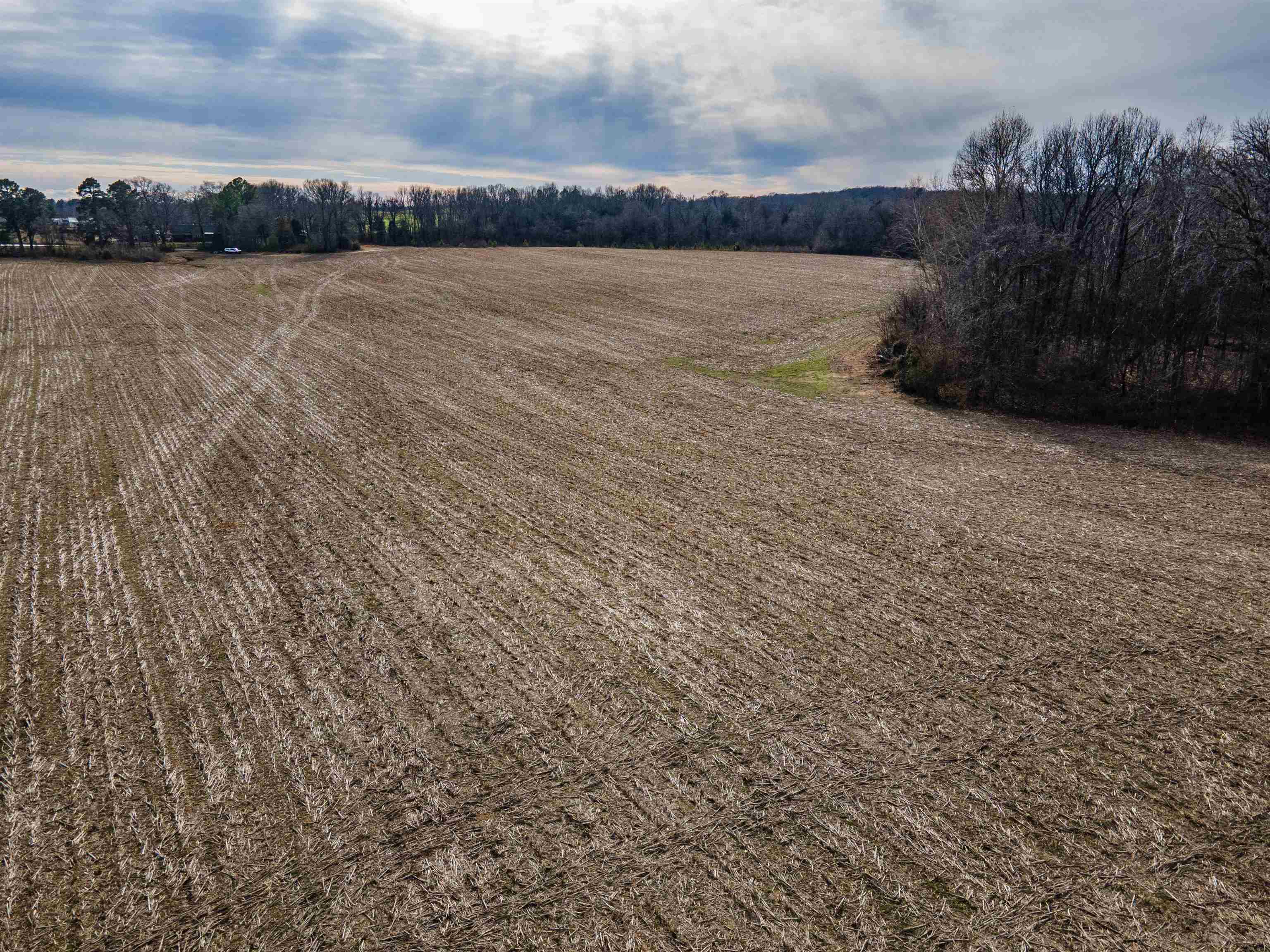 Mt. Moriah Rd Property Photo 19
