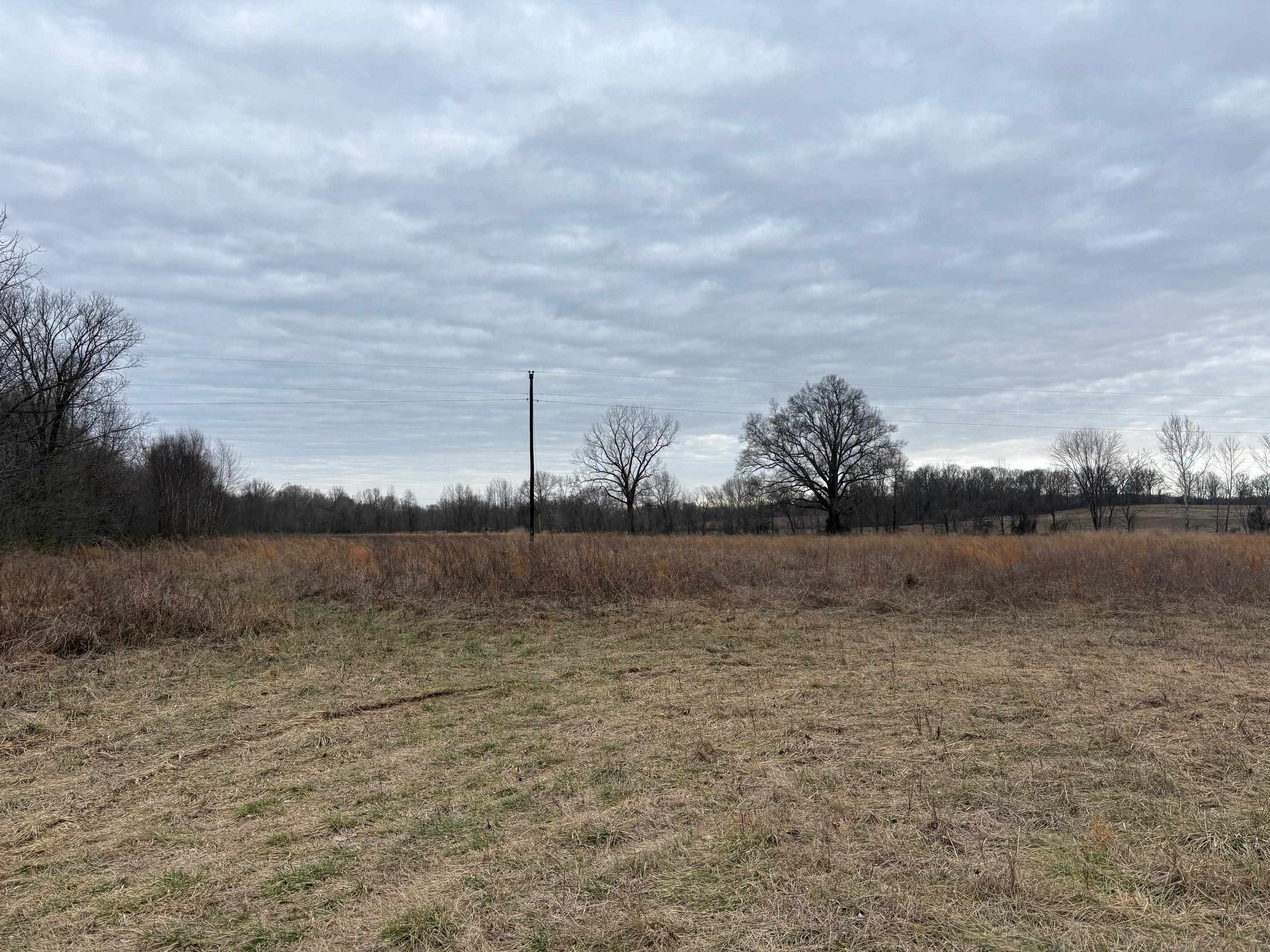 00 Forked Deer Rd Property Photo 3