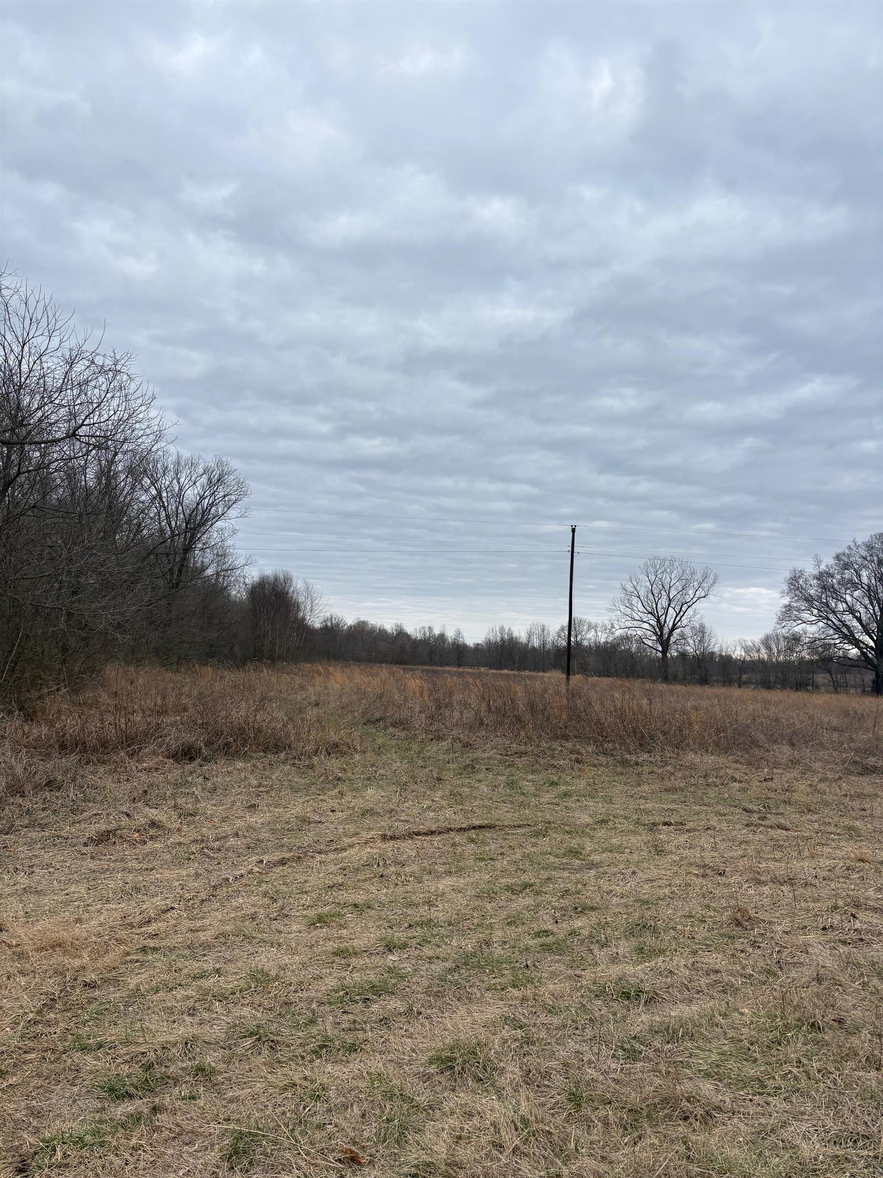 00 Forked Deer Rd Property Photo 4