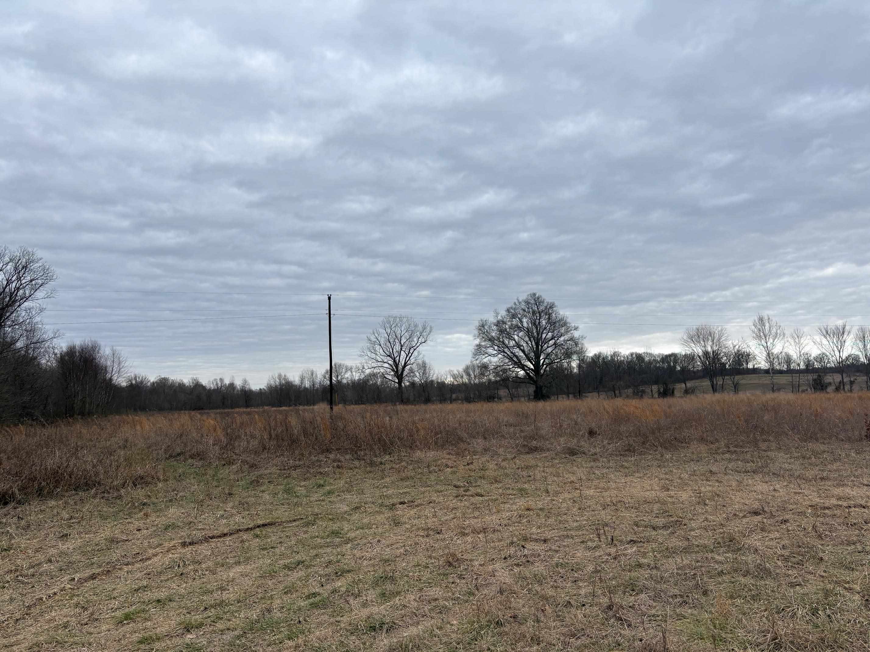00 Forked Deer Rd Property Photo 6