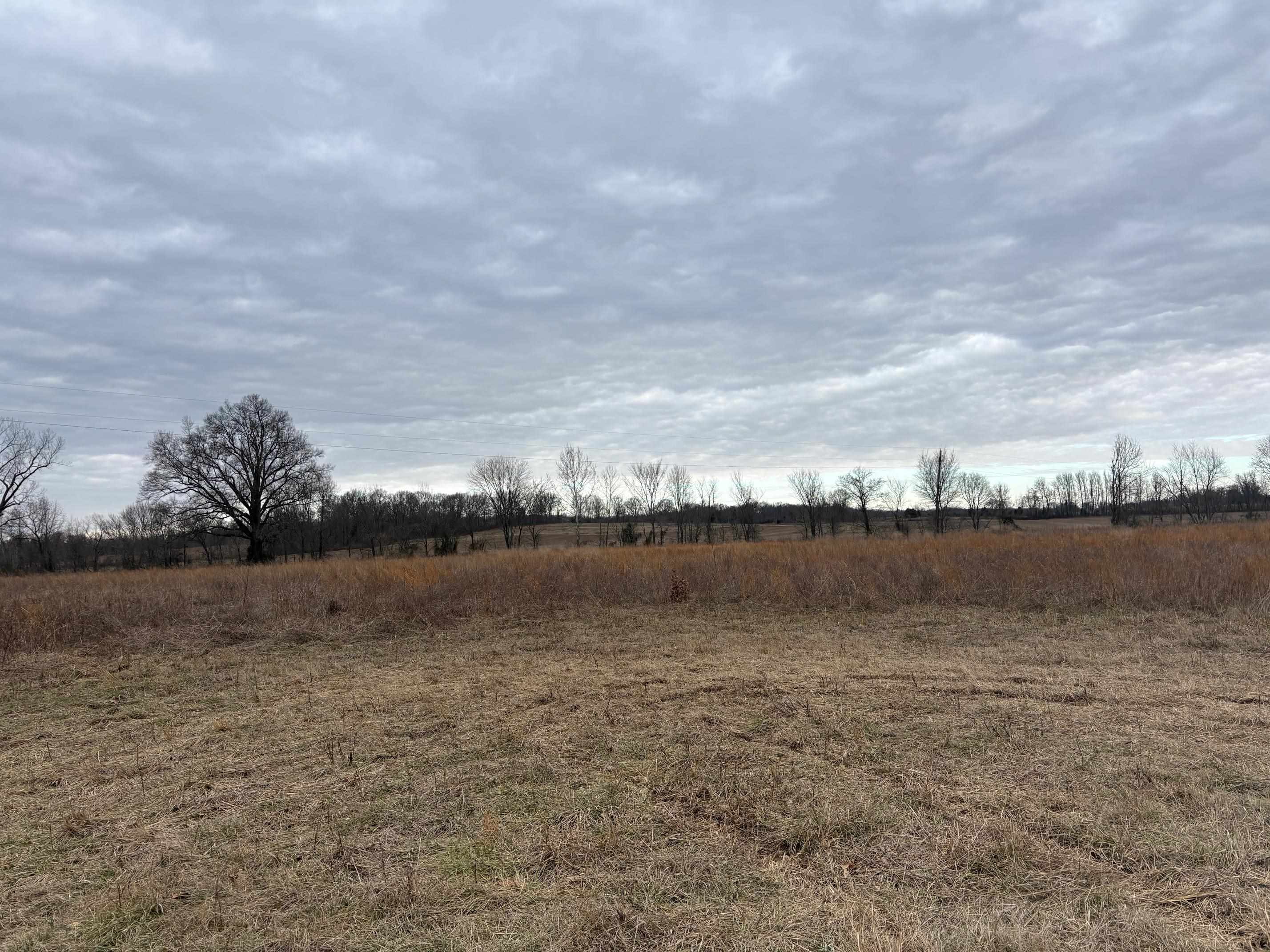 00 Forked Deer Rd Property Photo 7