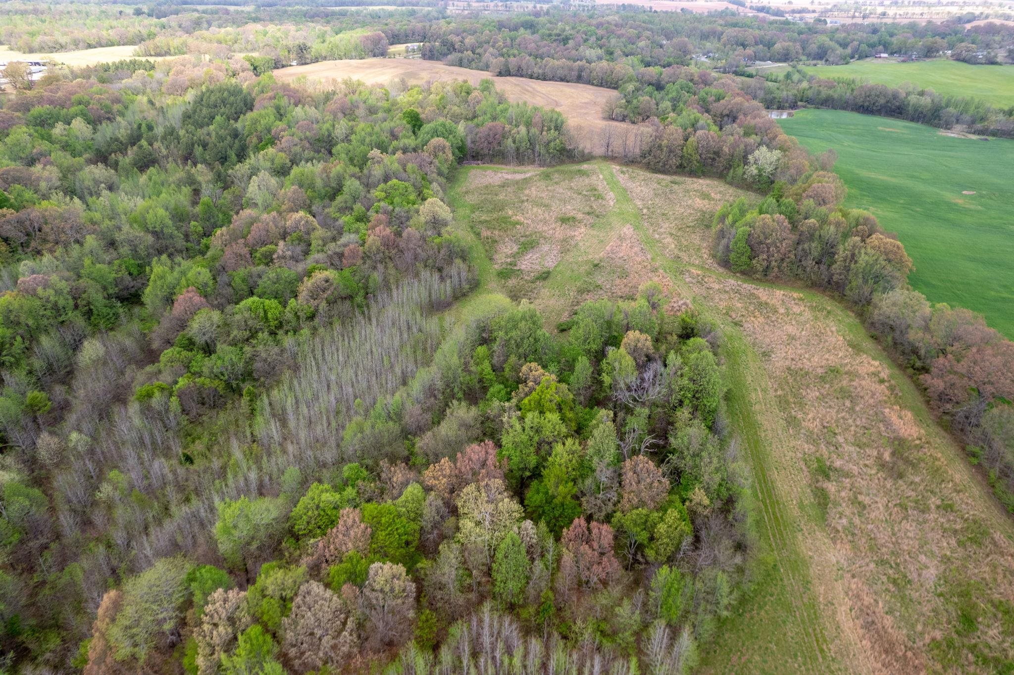00 Forked Deer Rd Property Photo 15
