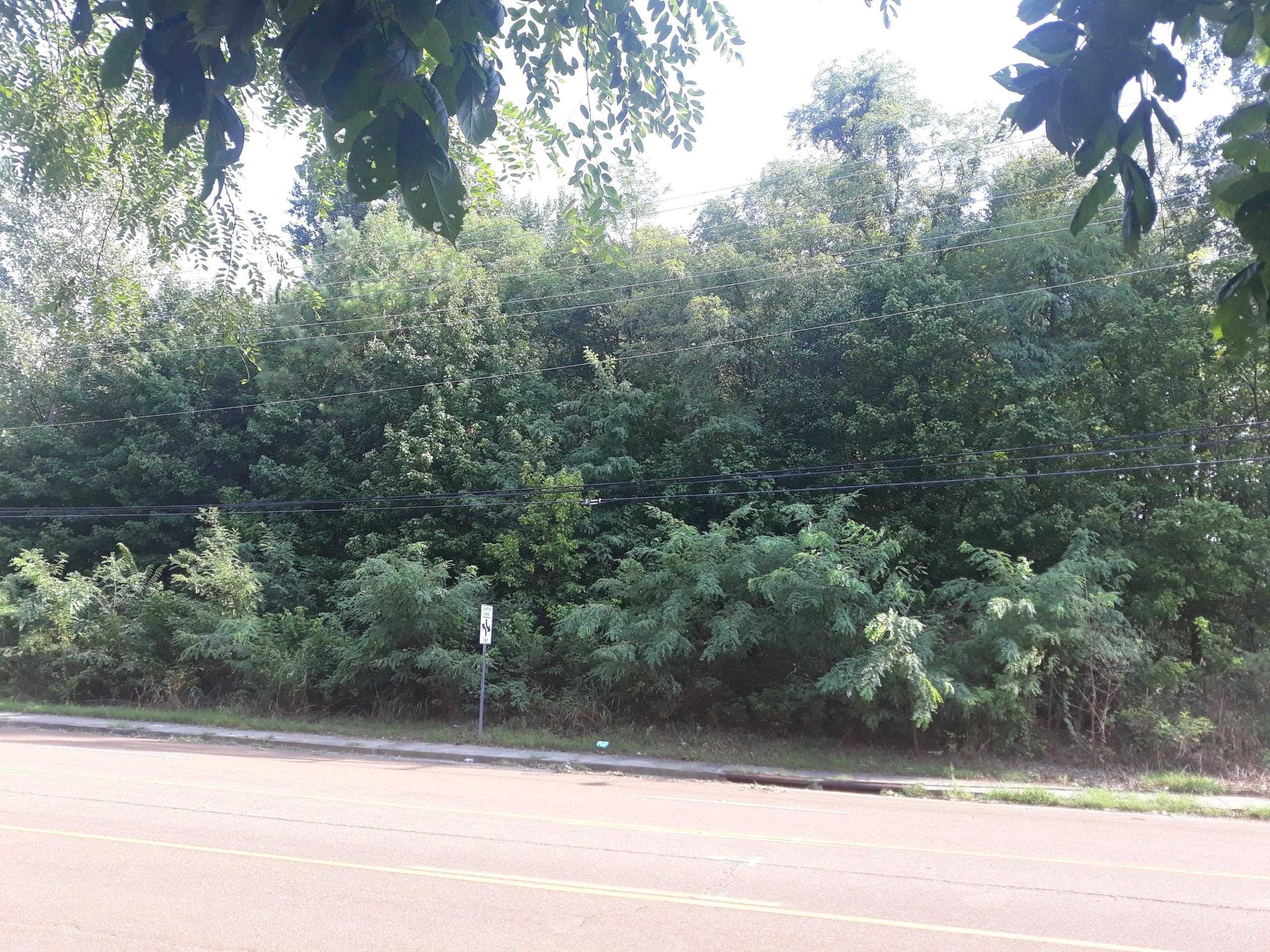 1307 W Raines Rd Property Photo 2