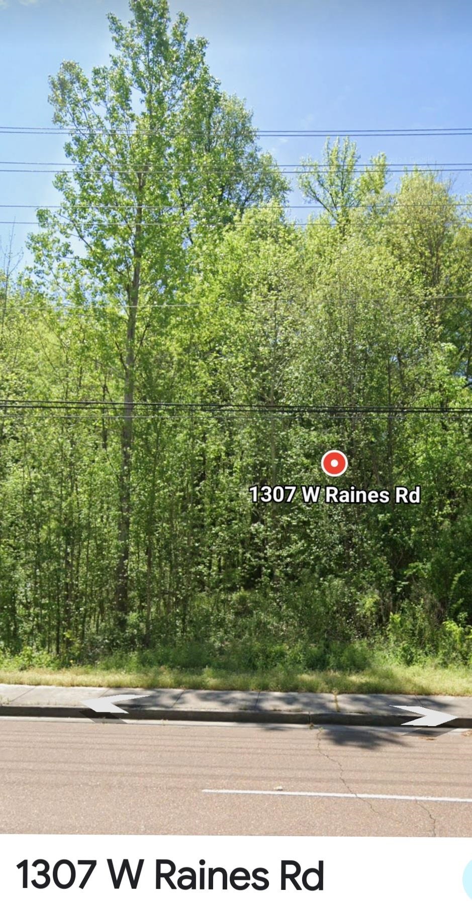 1307 W Raines Rd Property Photo 3