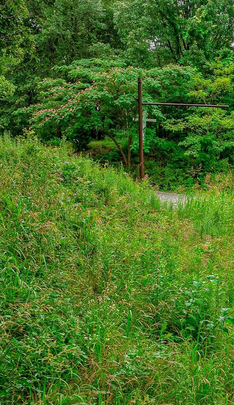 1115 Walk Pl Dr Property Photo 2