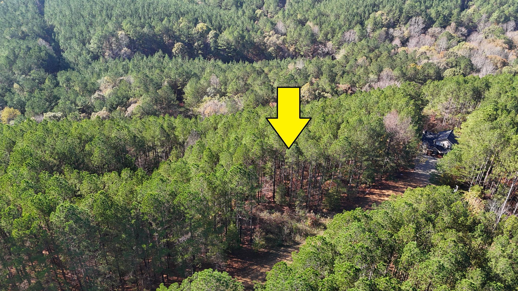 Lot 22,23 Woodlands Of Rivertrace Rd Property Photo 2