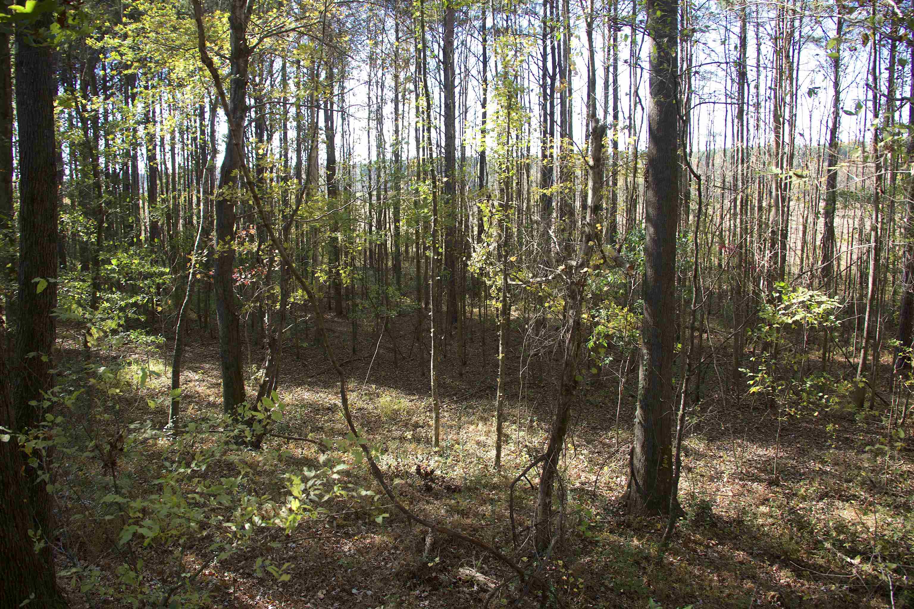 1761 Cr-126 Rd Property Photo 15