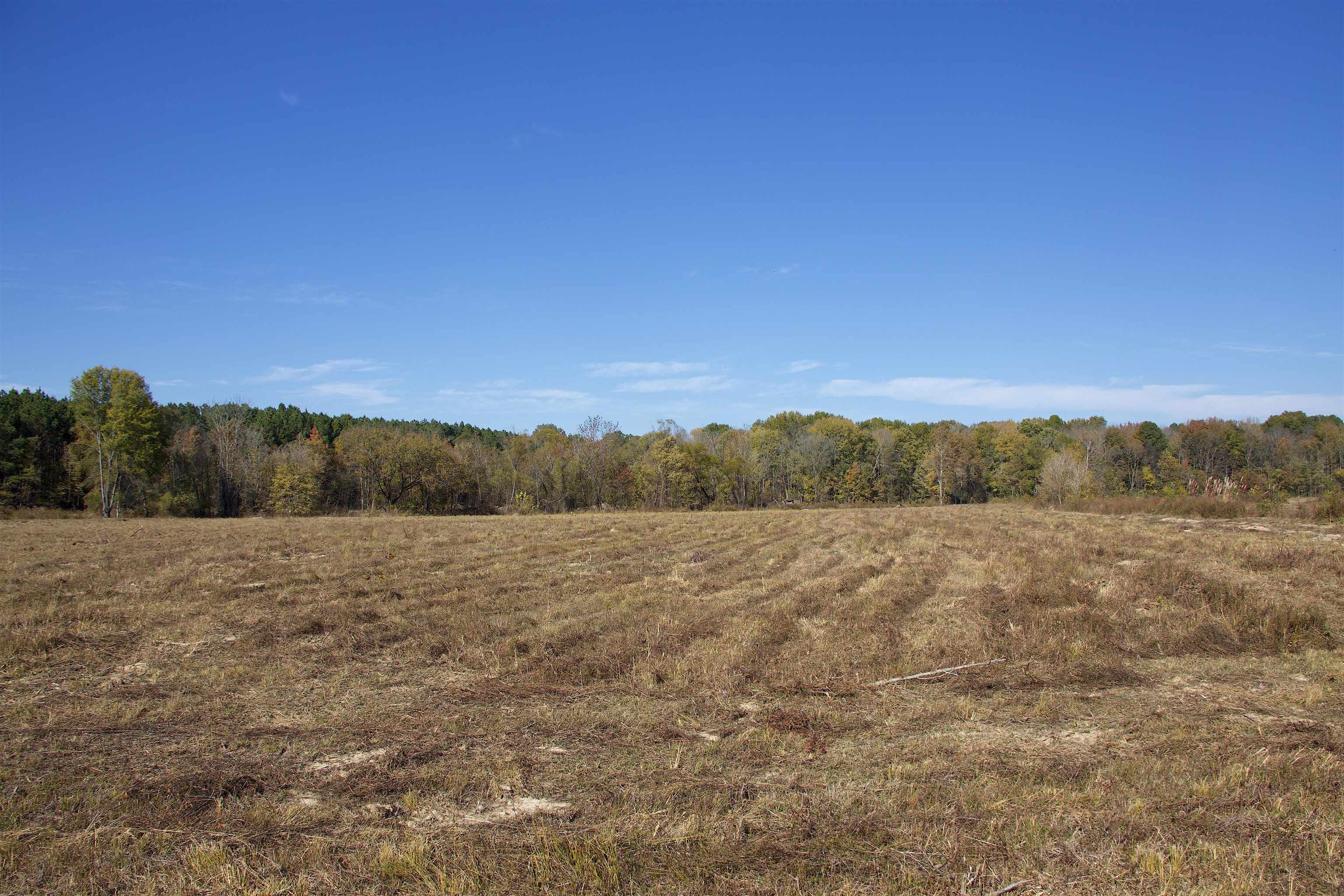 1761 Cr-126 Rd Property Photo 18