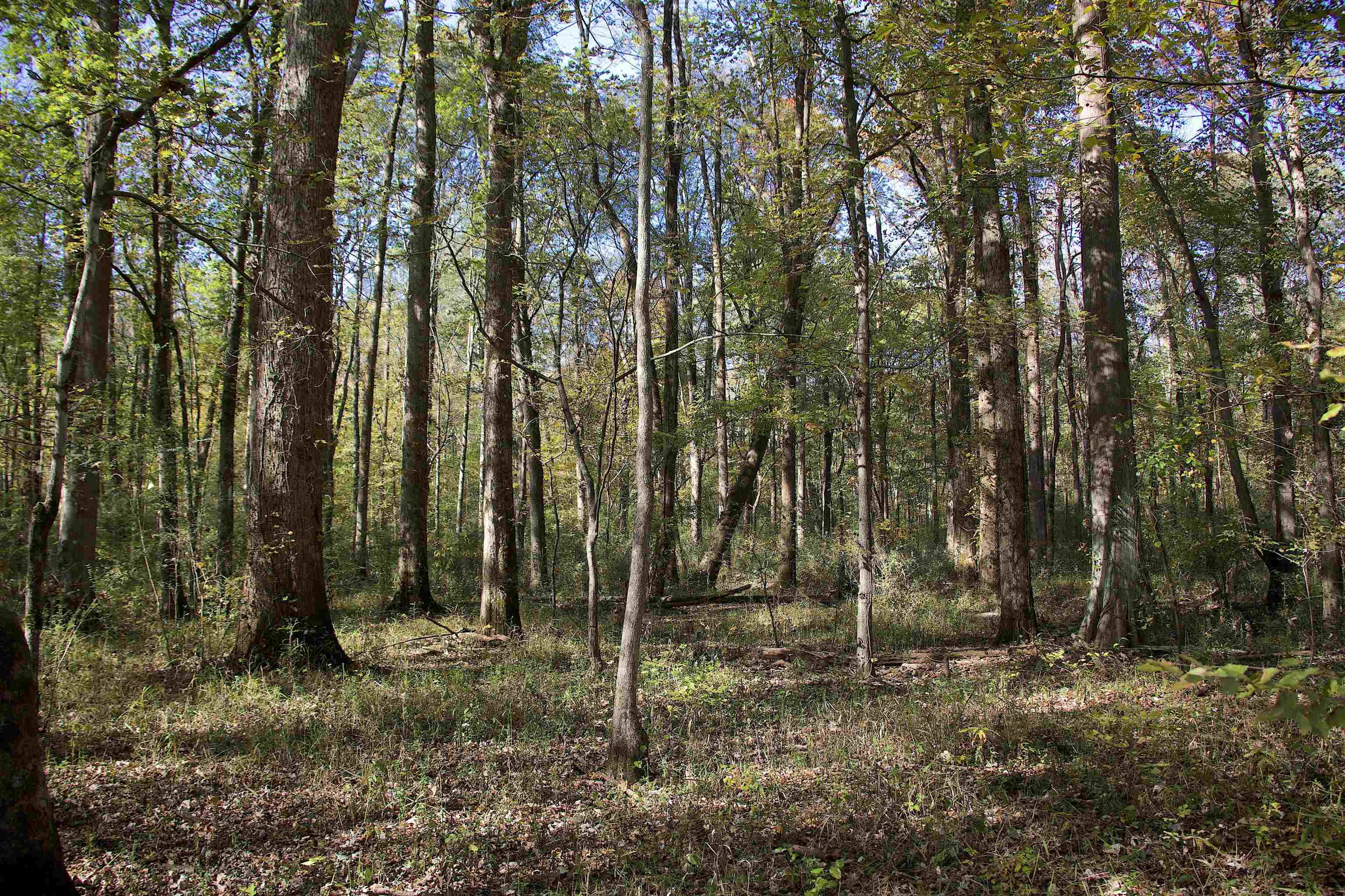 1761 Cr-126 Rd Property Photo 22