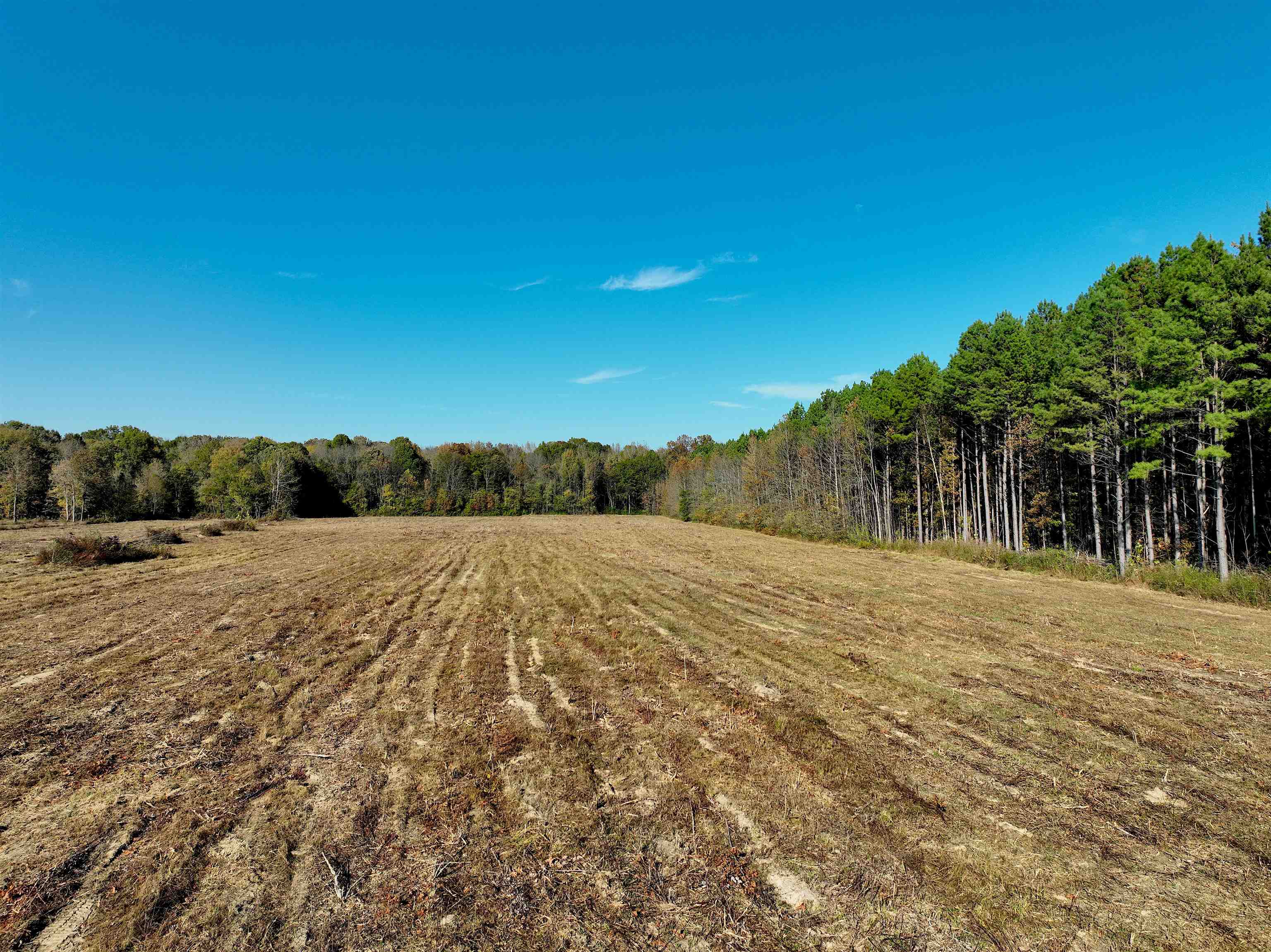 1761 Cr-126 Rd Property Photo 30