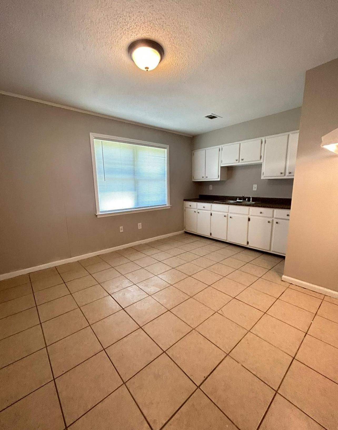3304 Sweet Springs Dr Property Photo 20
