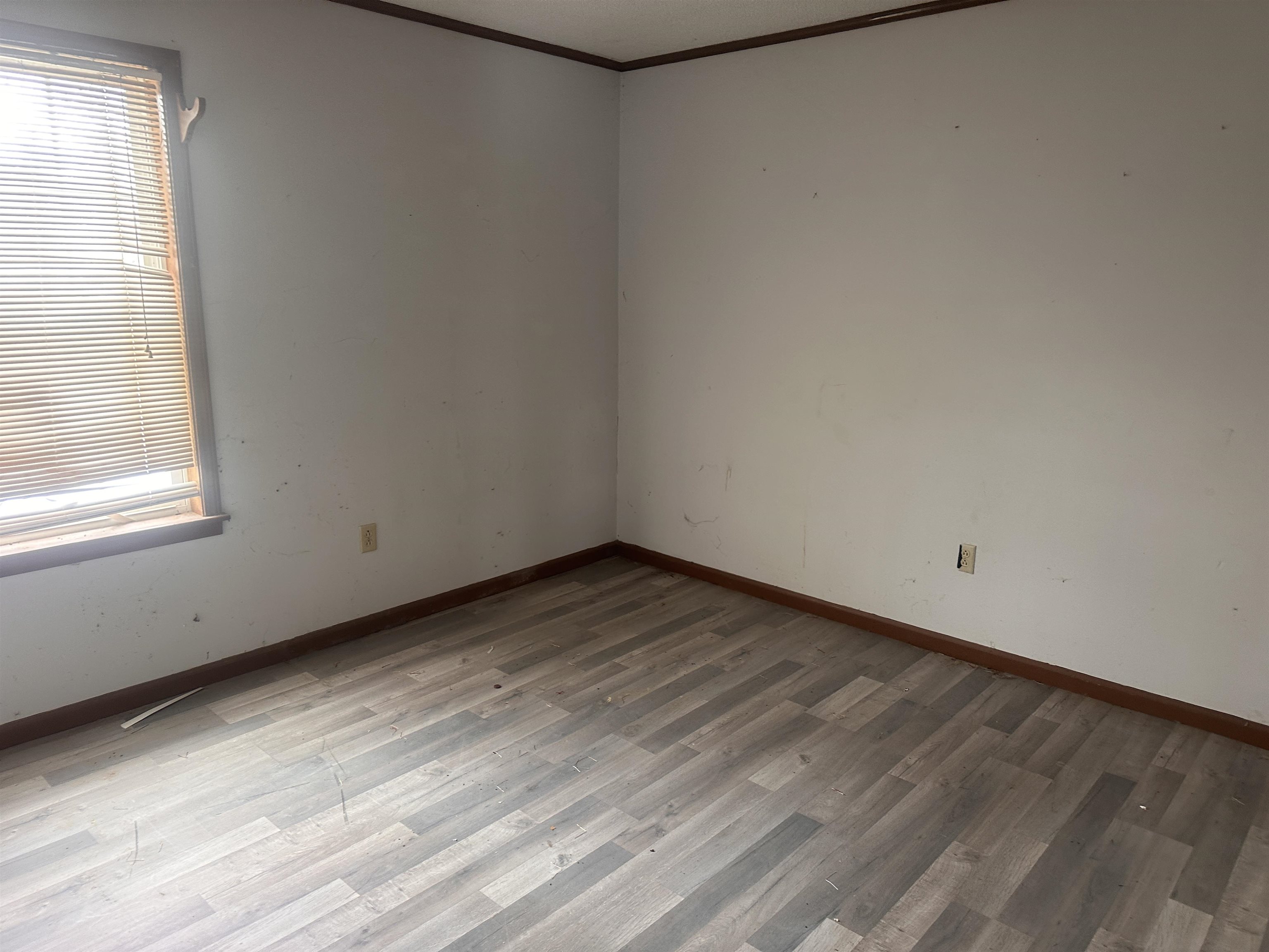 605 Junior Dr Property Photo 15