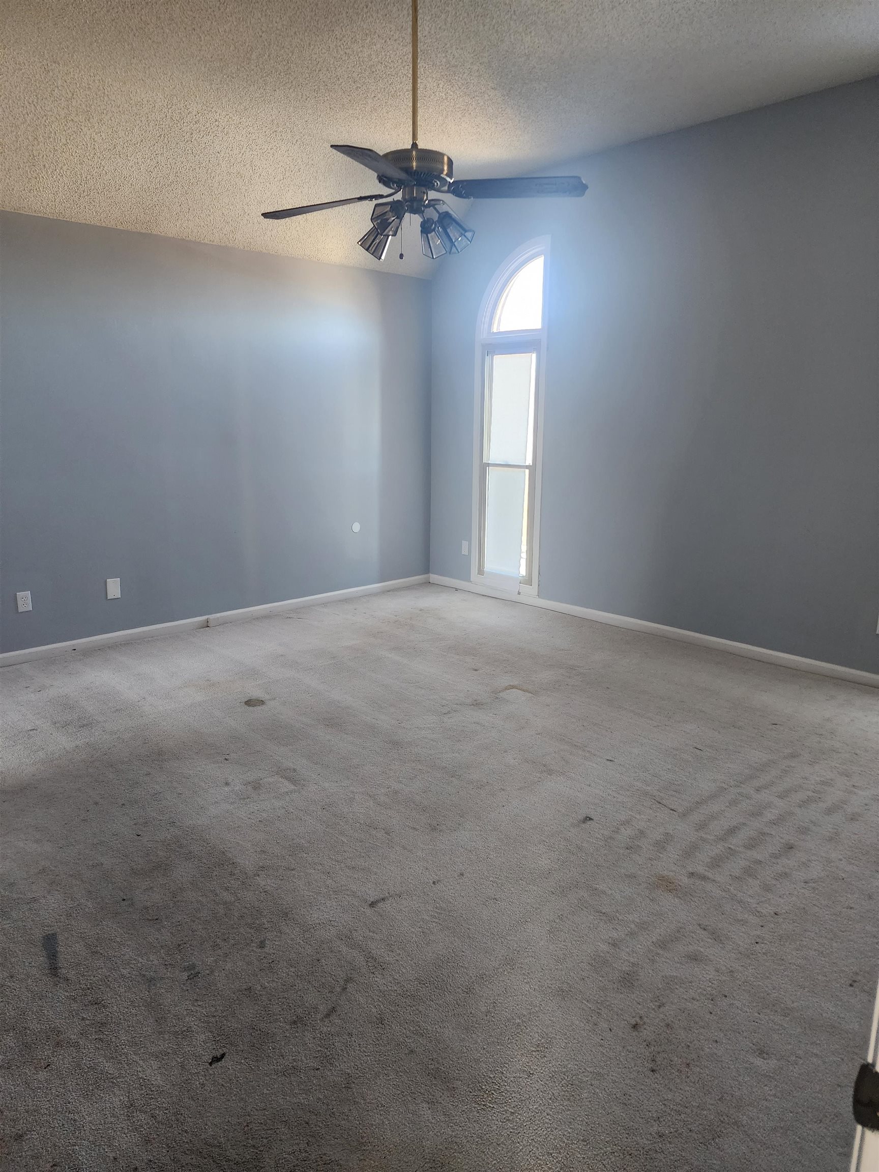 6767 Castlegate Cv Property Photo 8