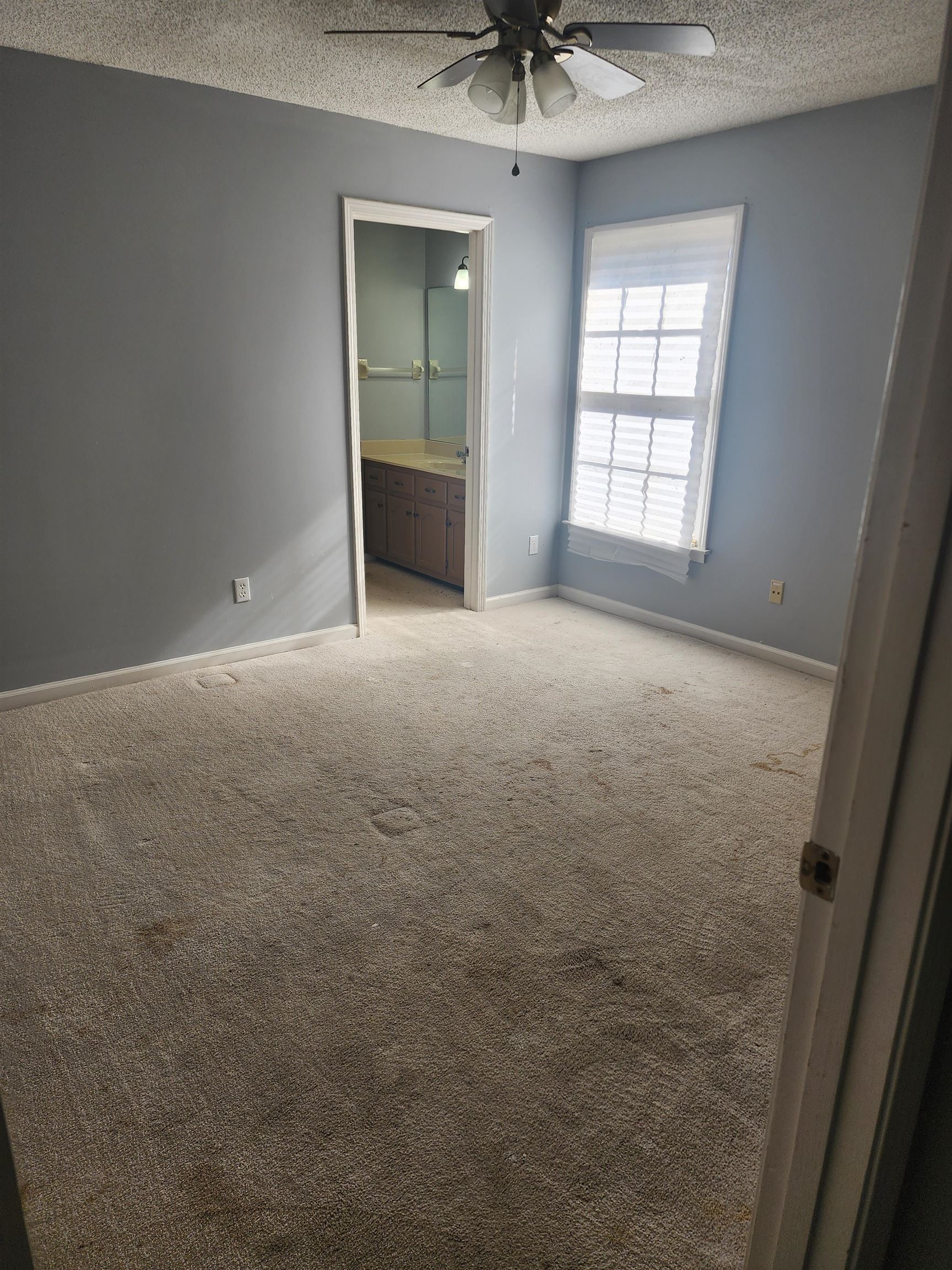 6767 Castlegate Cv Property Photo 13