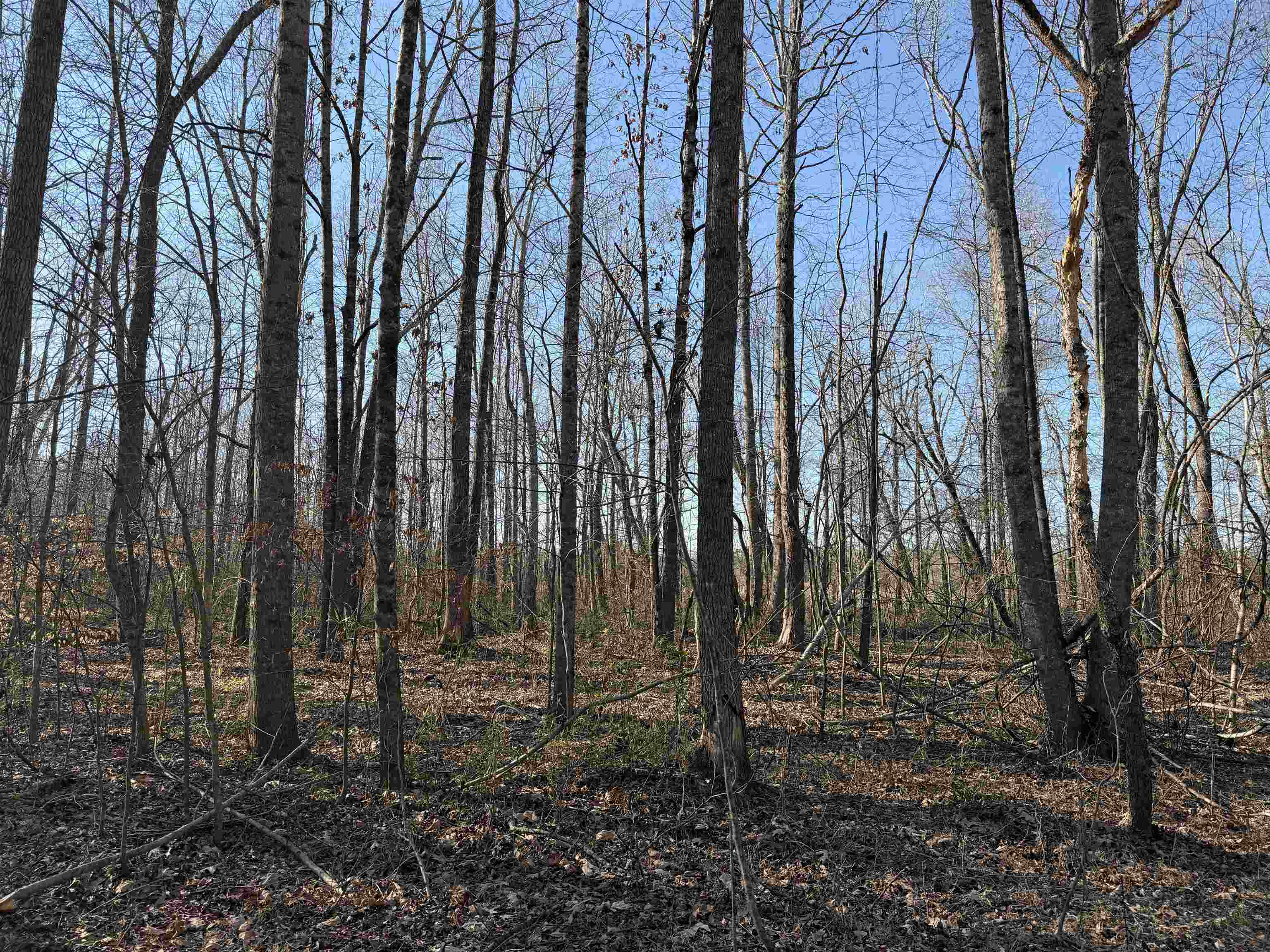1 Small Rd Property Photo 8