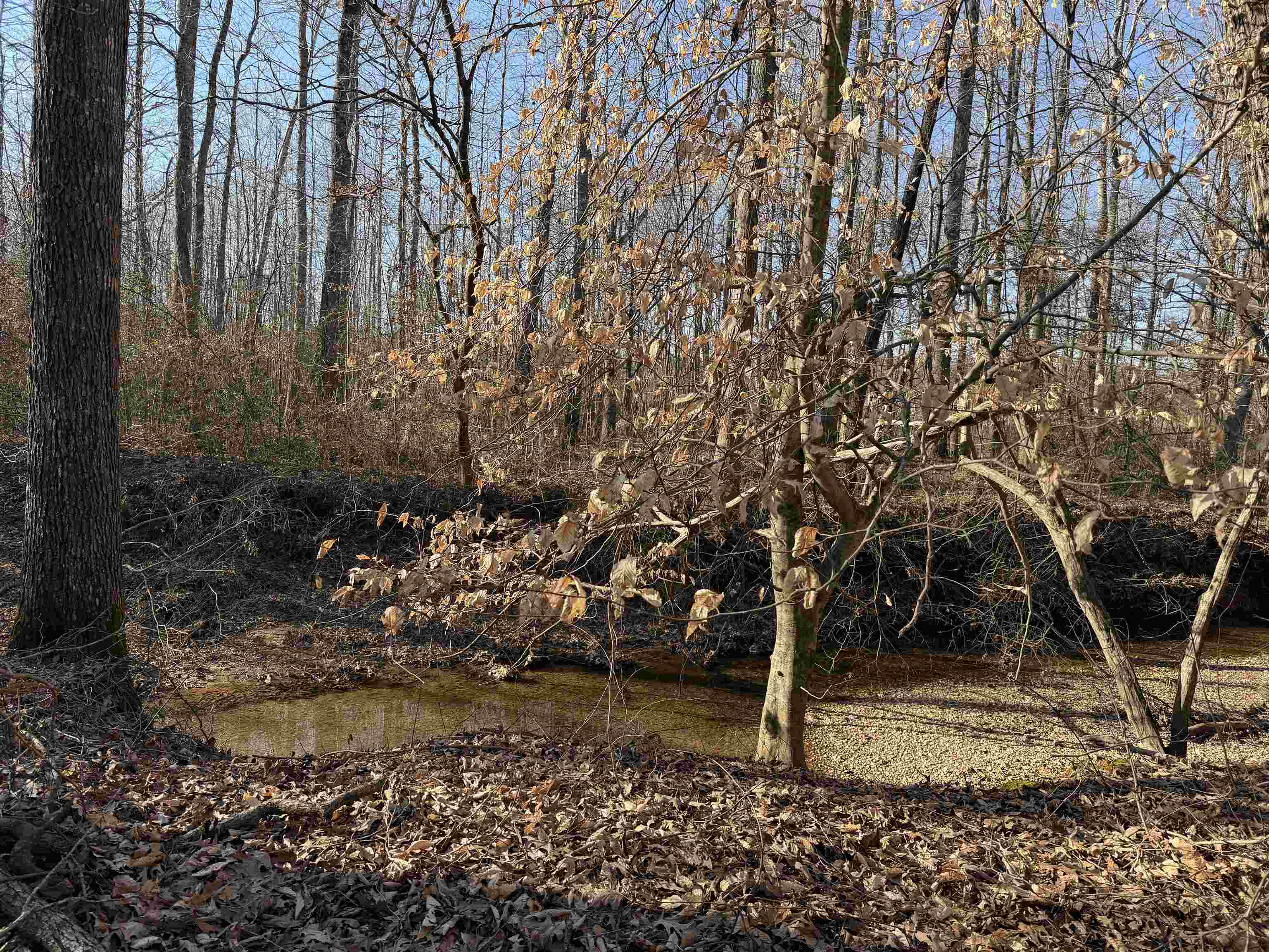 1 Small Rd Property Photo 10