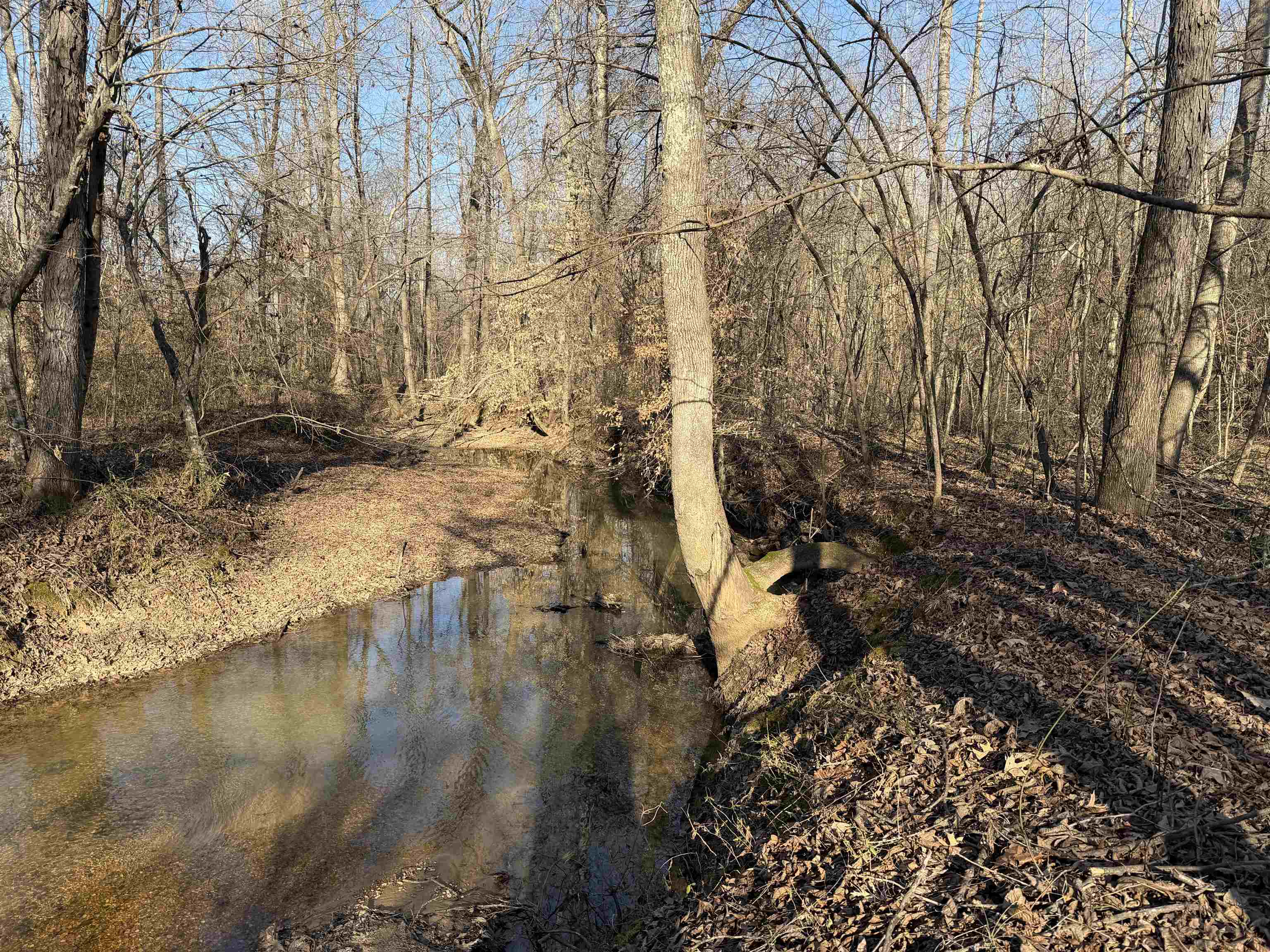 1 Small Rd Property Photo 13