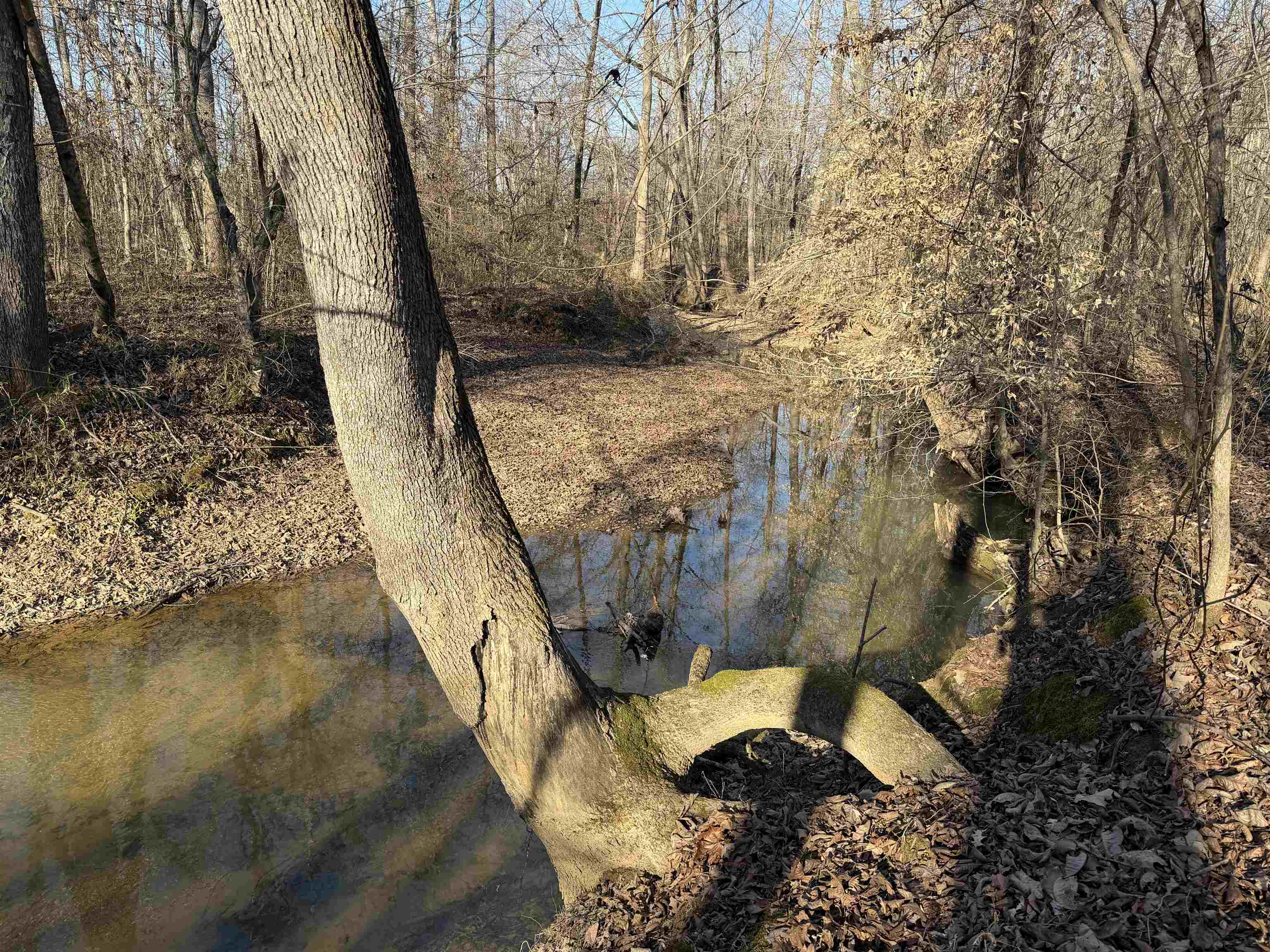 1 Small Rd Property Photo 16