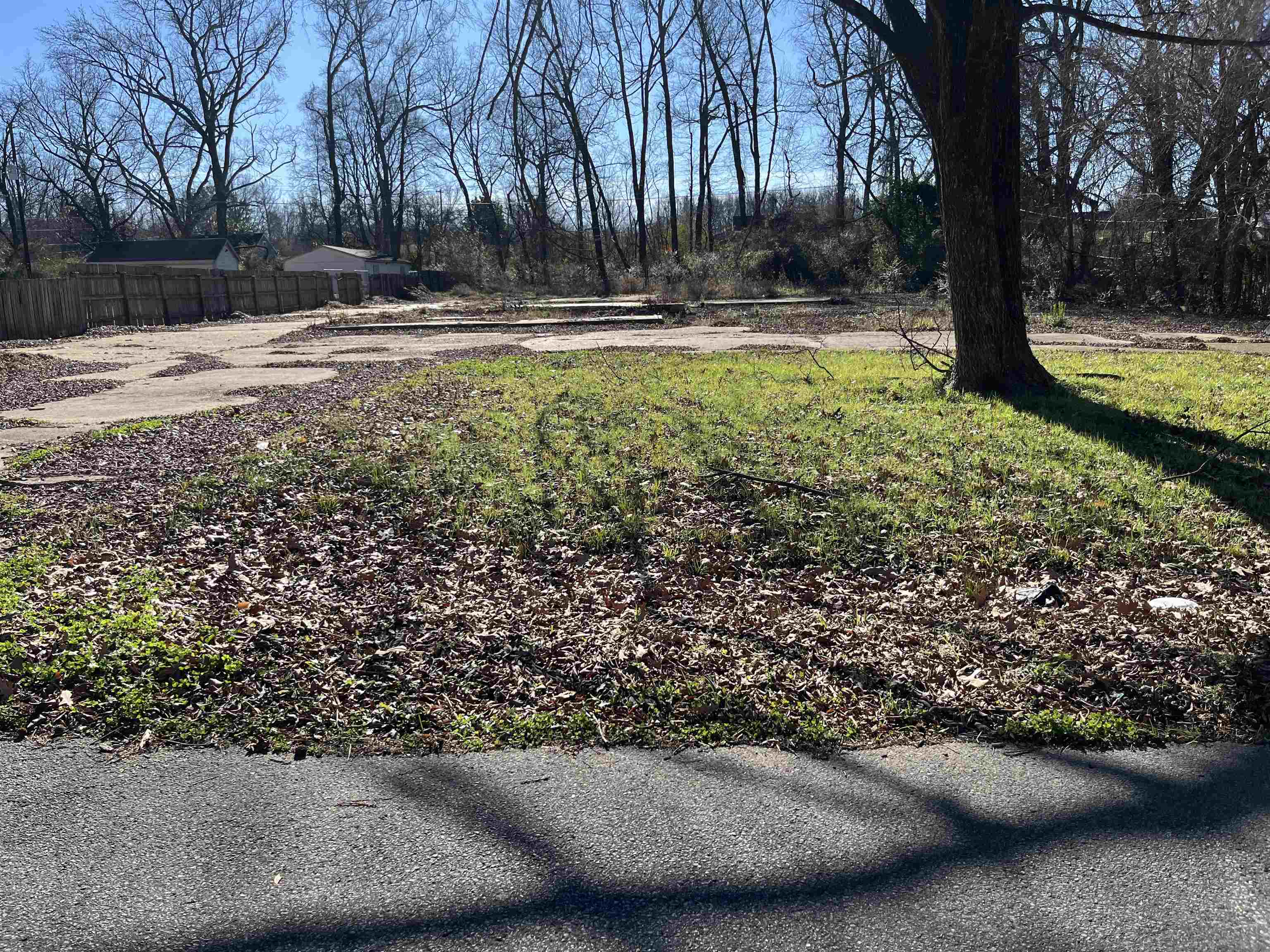 1133 Saunders Ave Property Photo 3