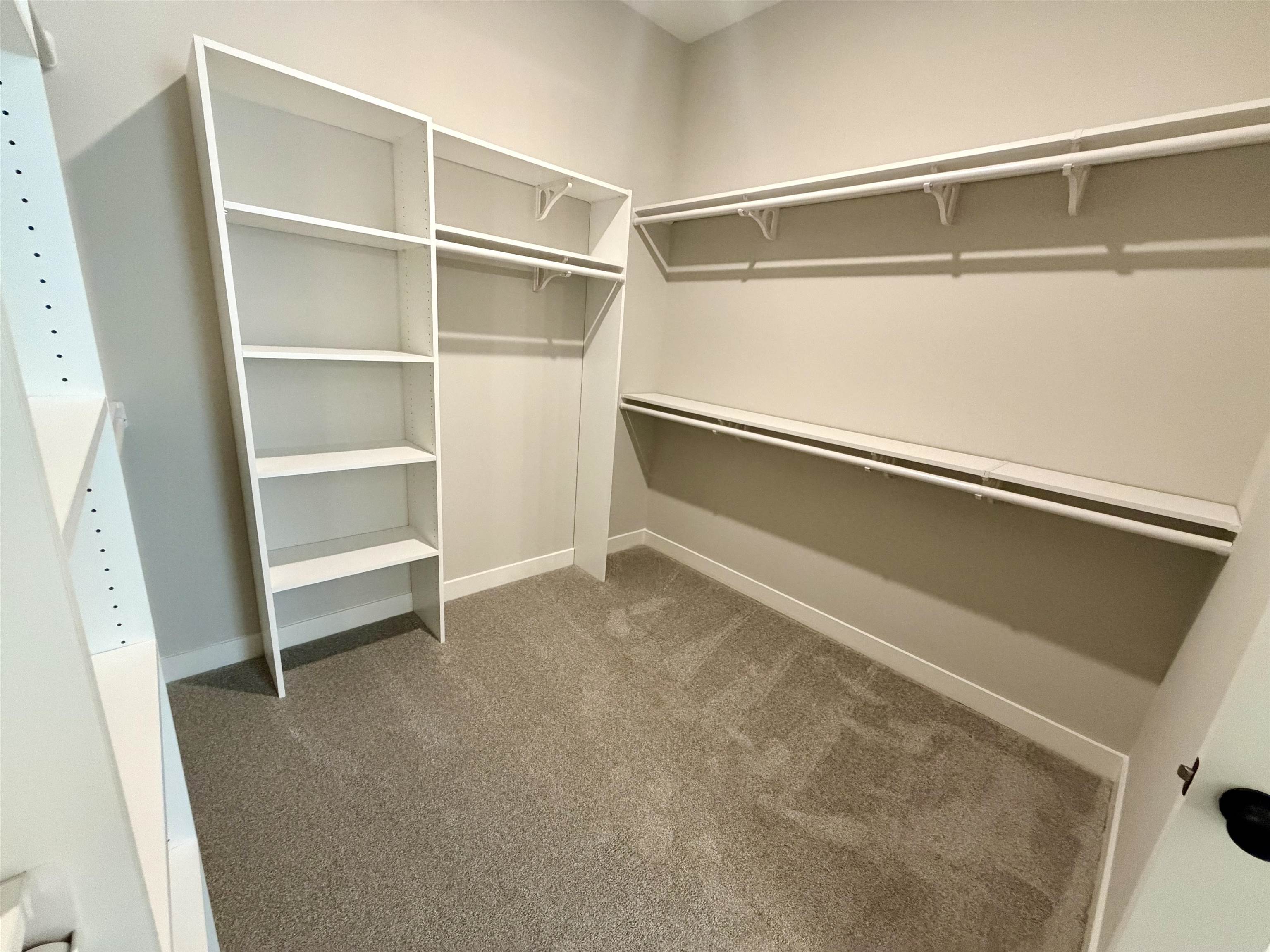 10250 Louanne Dr Property Photo 18