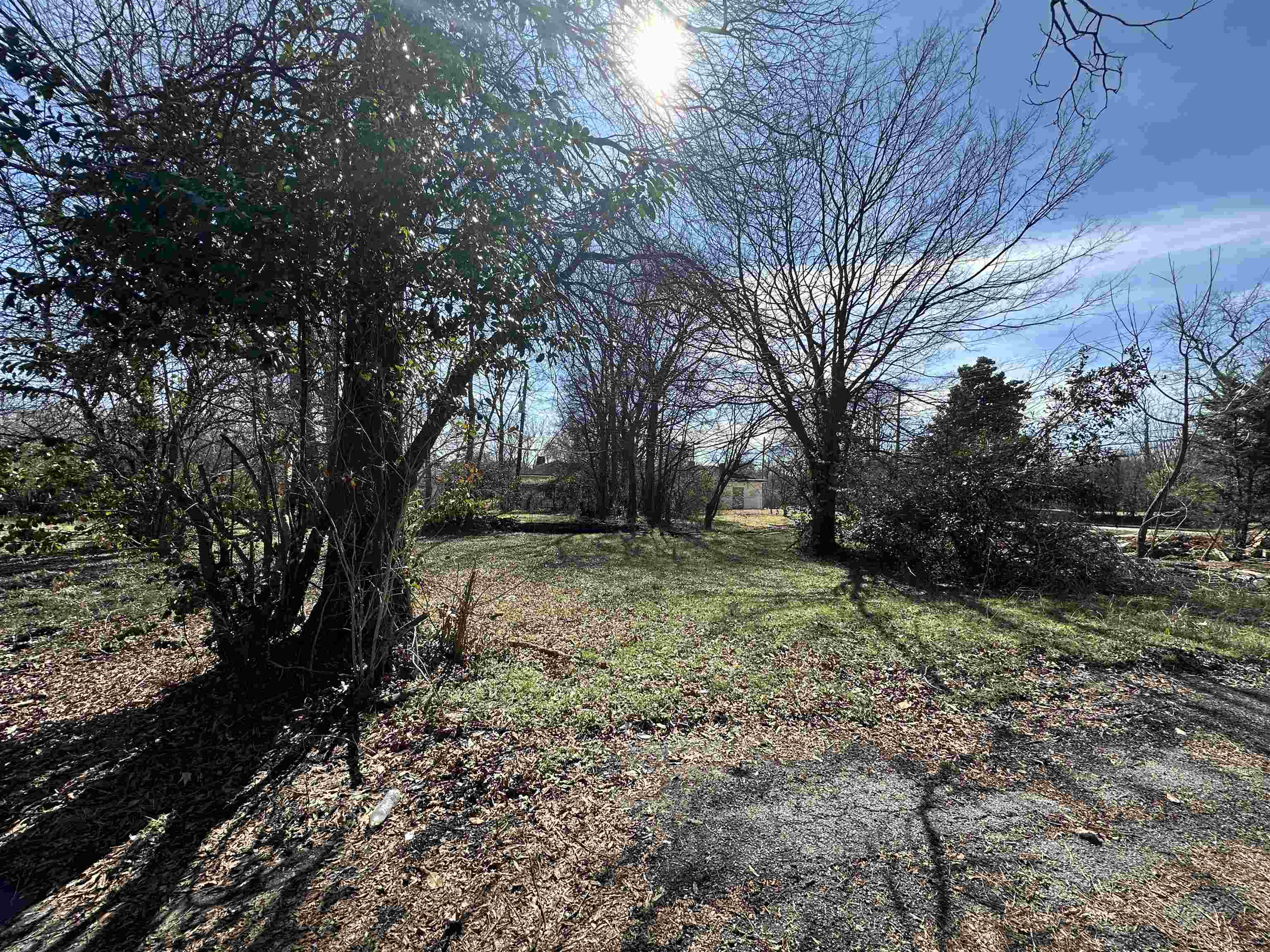 661 Eads Ave Property Photo 4