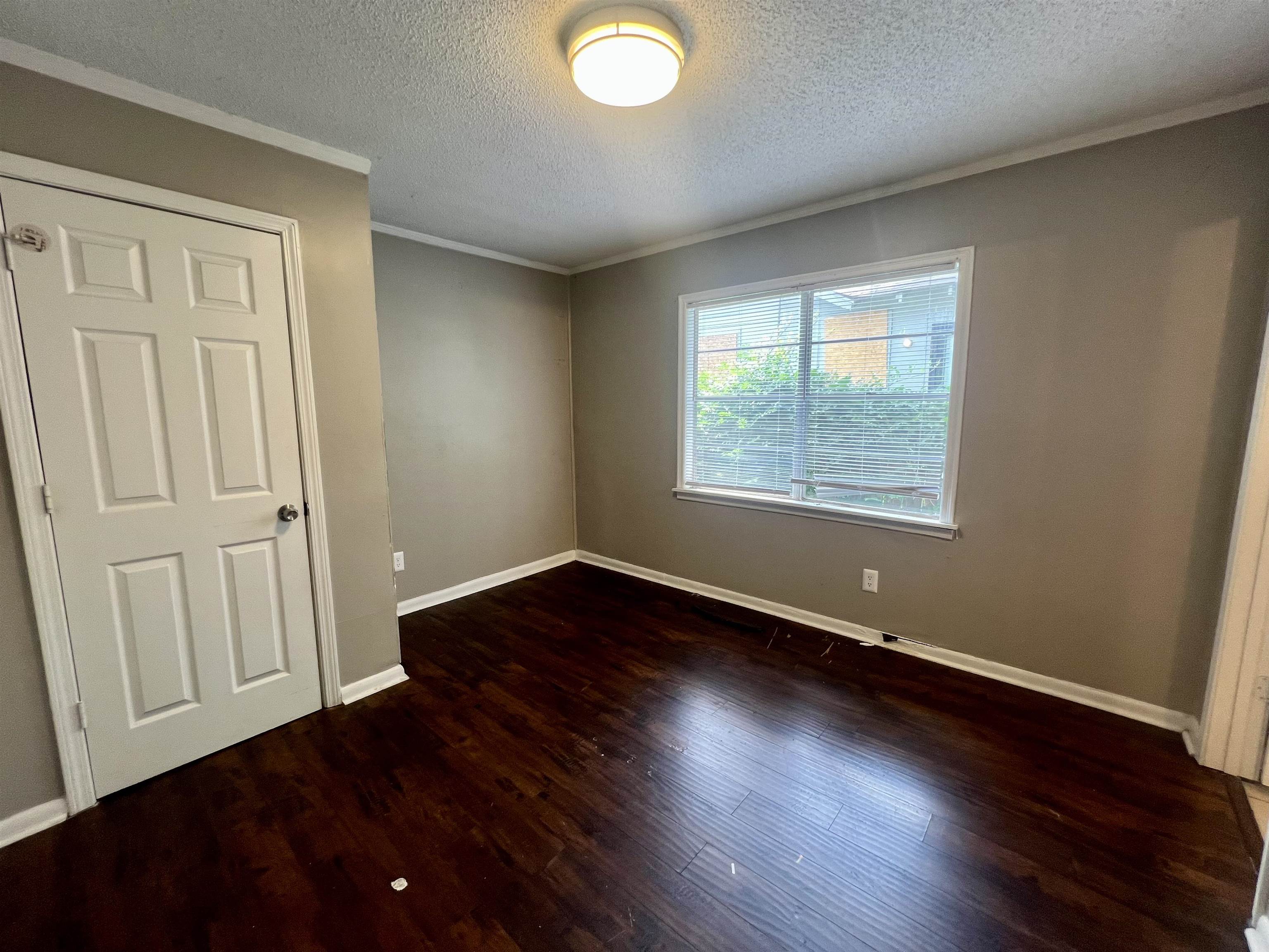 3540 Marion Ave Property Photo 16