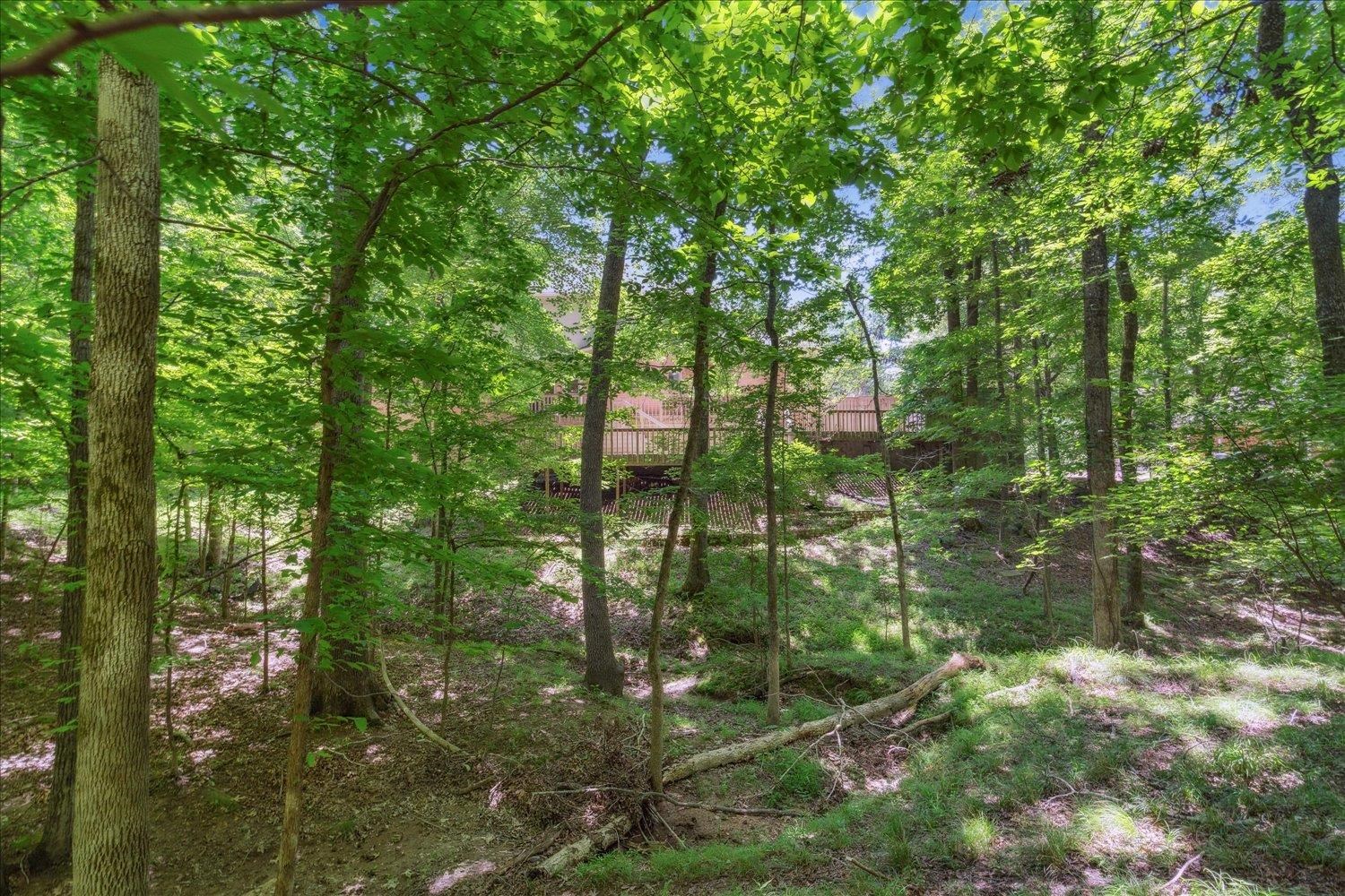 9280 Ellen Davies Dr Property Photo 39