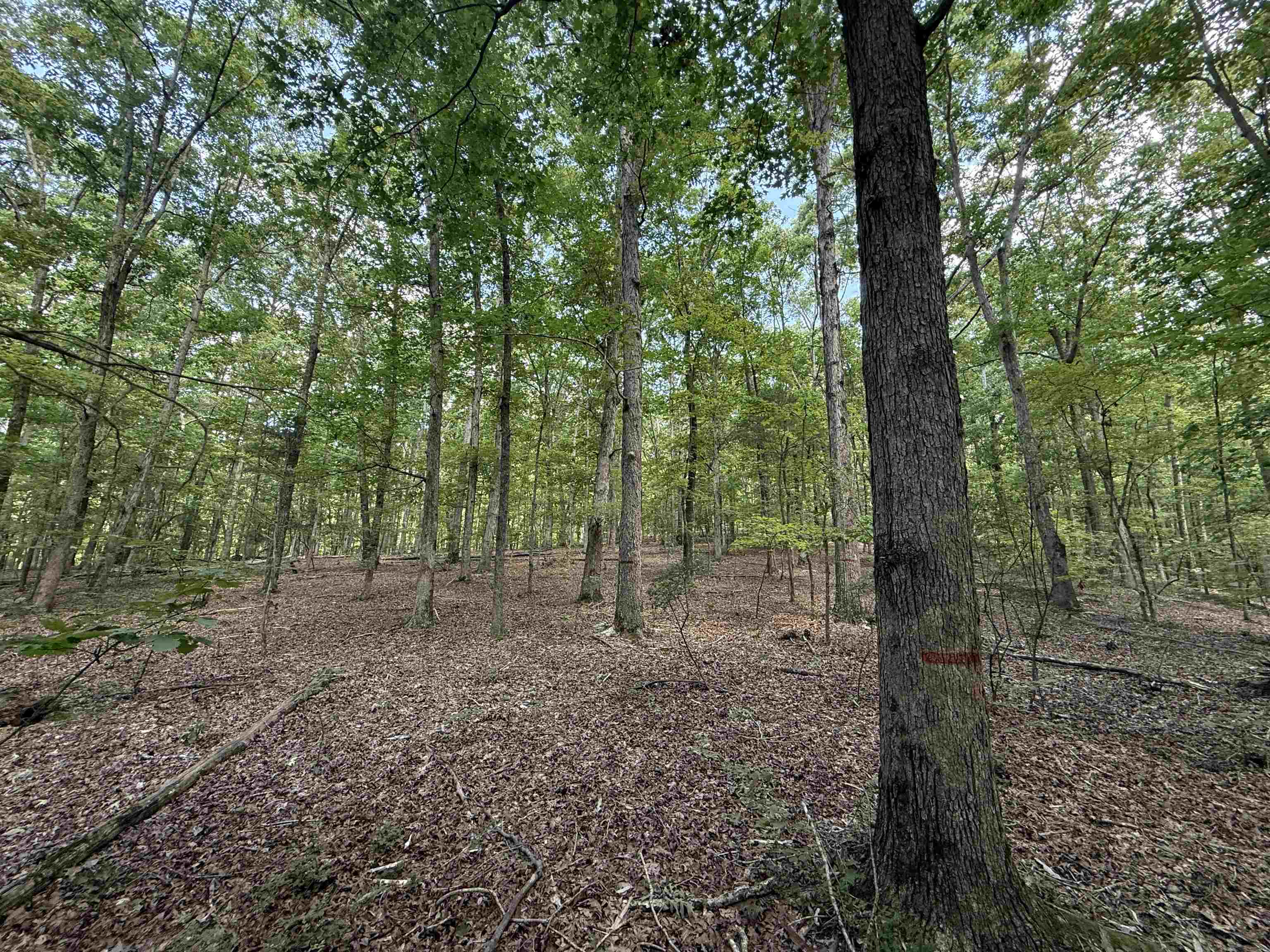 000 Herndon Cemetery Rd Property Photo 3