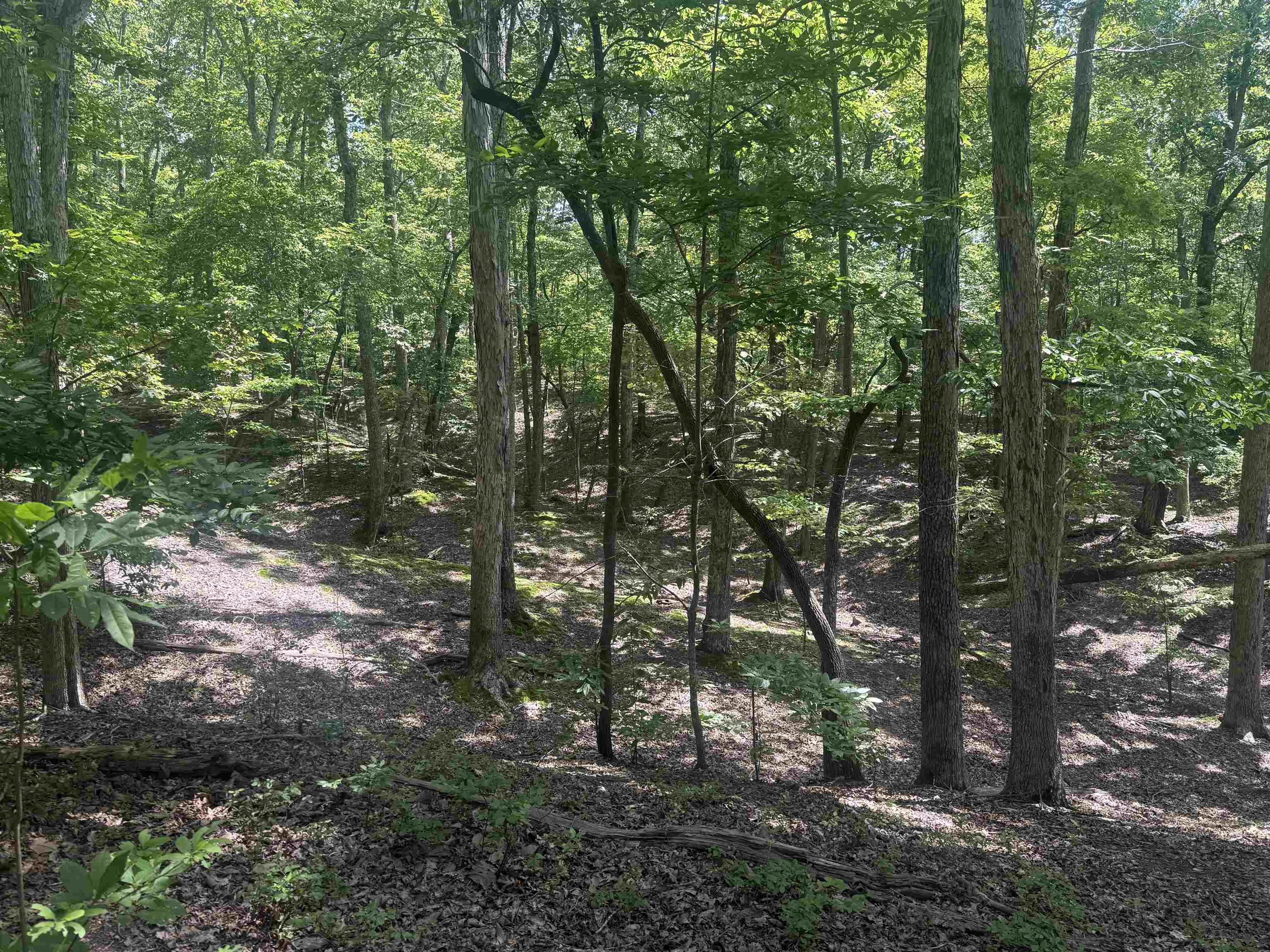 000 Herndon Cemetery Rd Property Photo 5