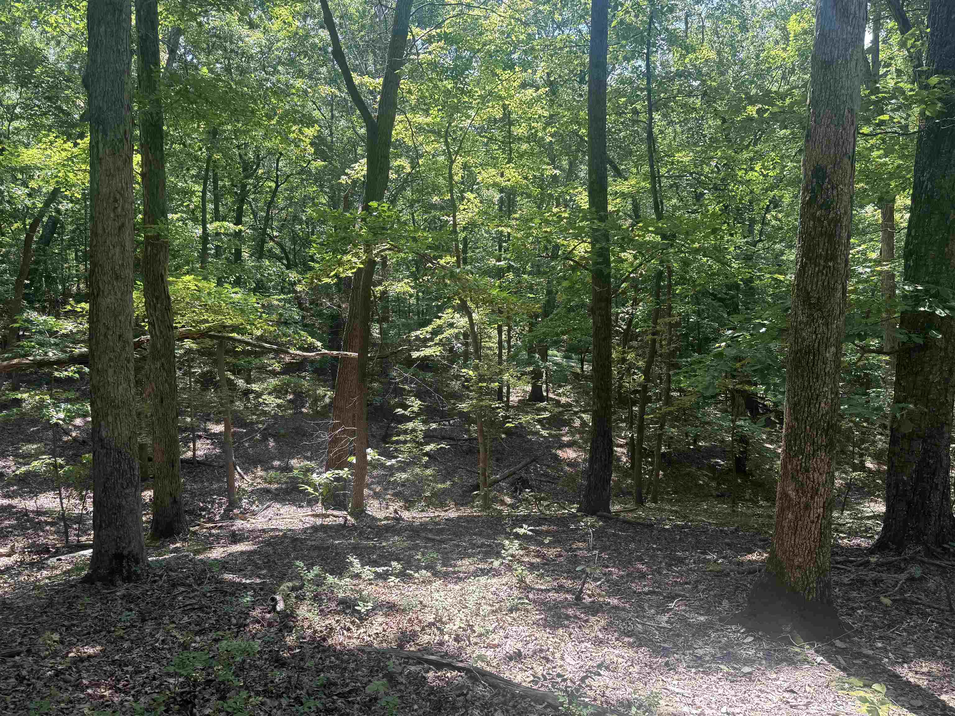 000 Herndon Cemetery Rd Property Photo 6