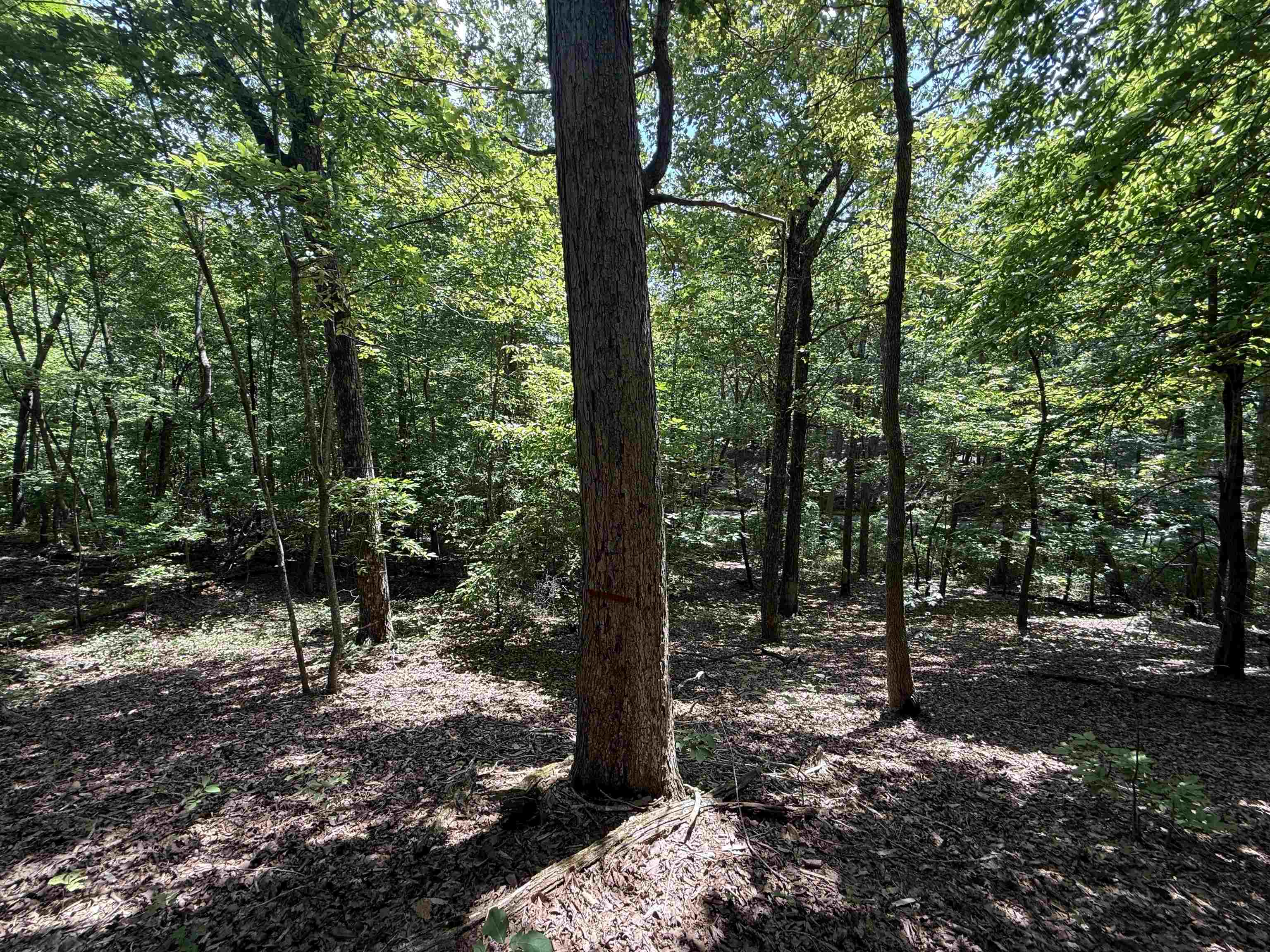 000 Herndon Cemetery Rd Property Photo 9