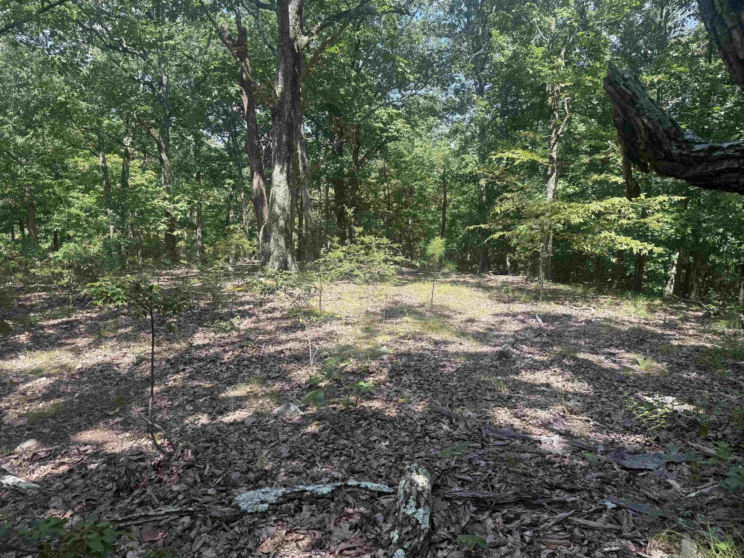 000 Herndon Cemetery Rd Property Photo 10